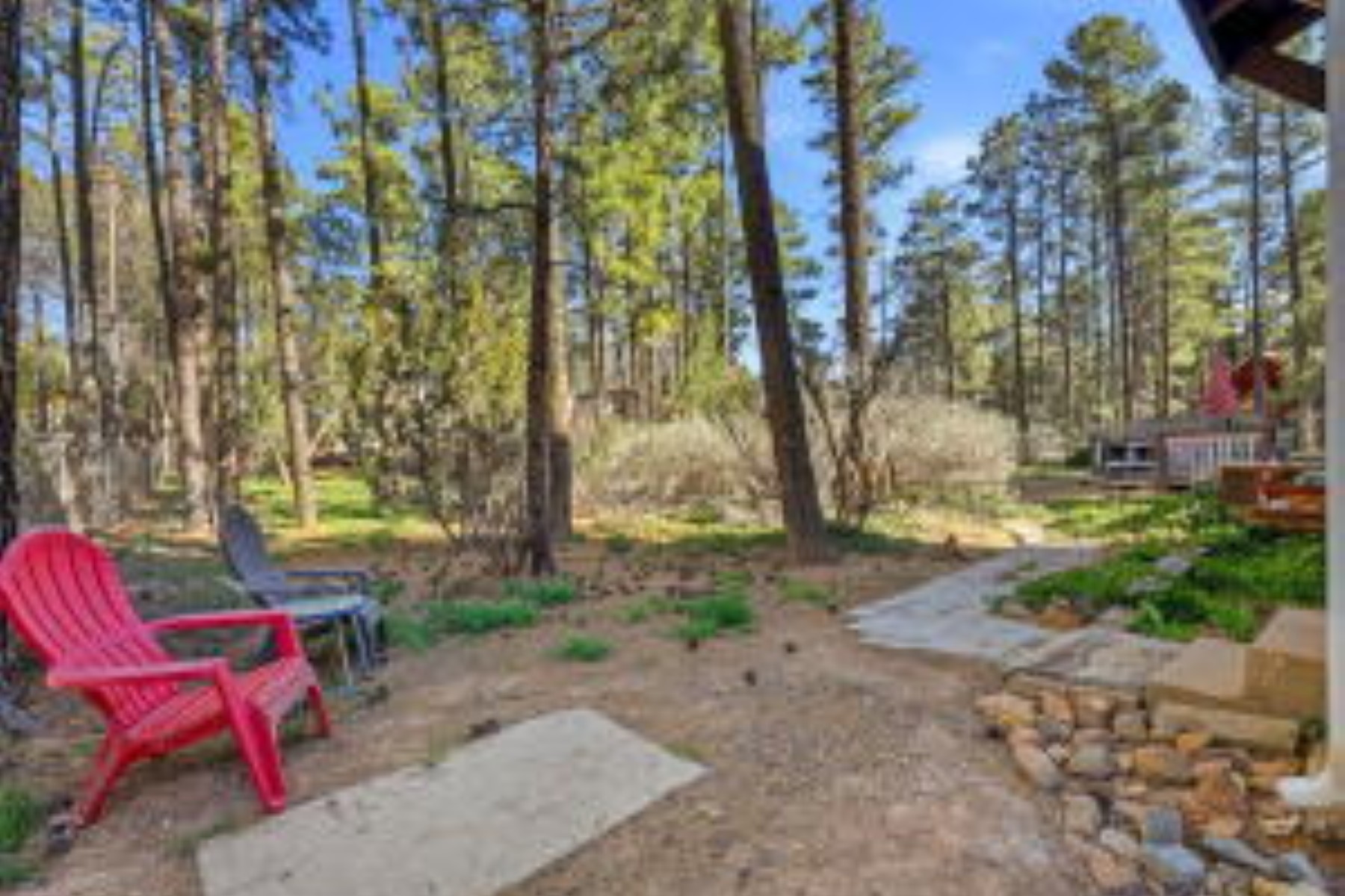  1009 Chaparral Drive¦Show Low, AZ - 物件實景