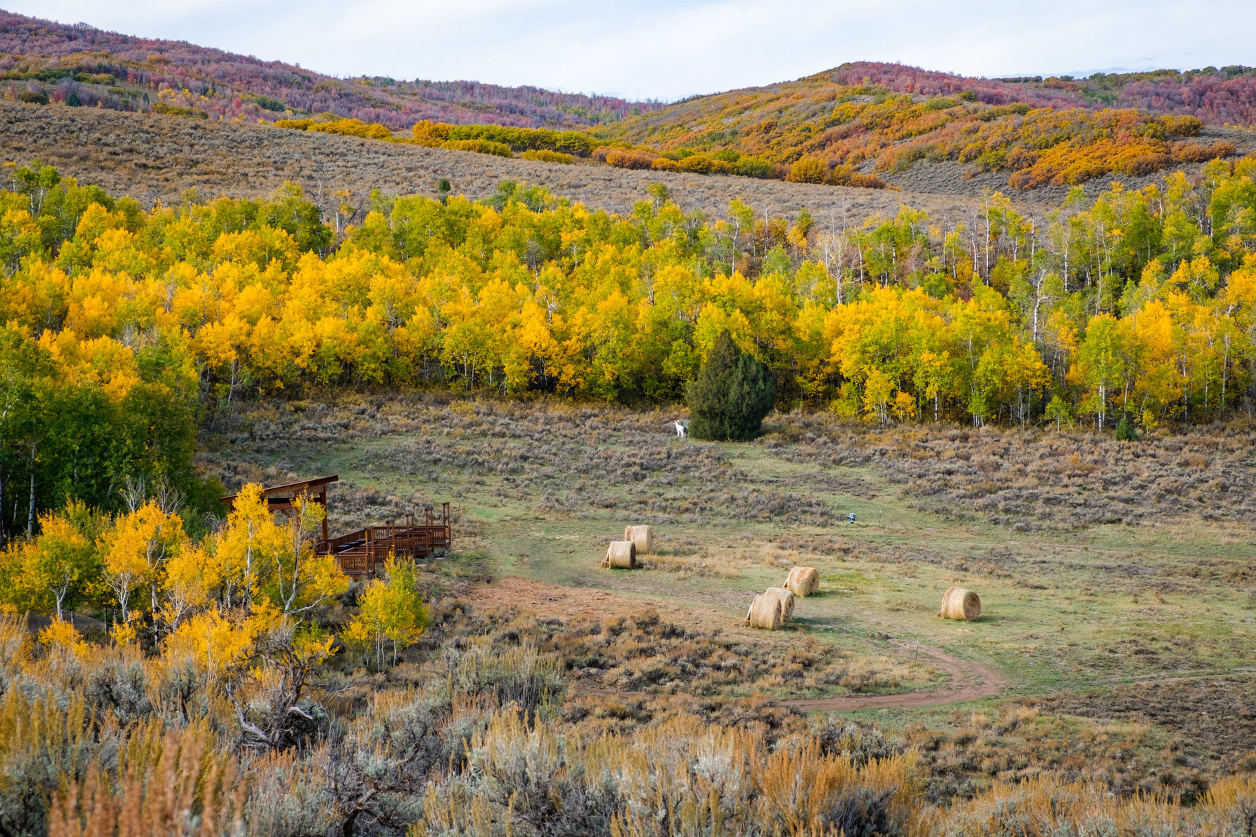  Luxury Juniper Cabin with Deer Valley Views at Victory Ranch - 物件實景