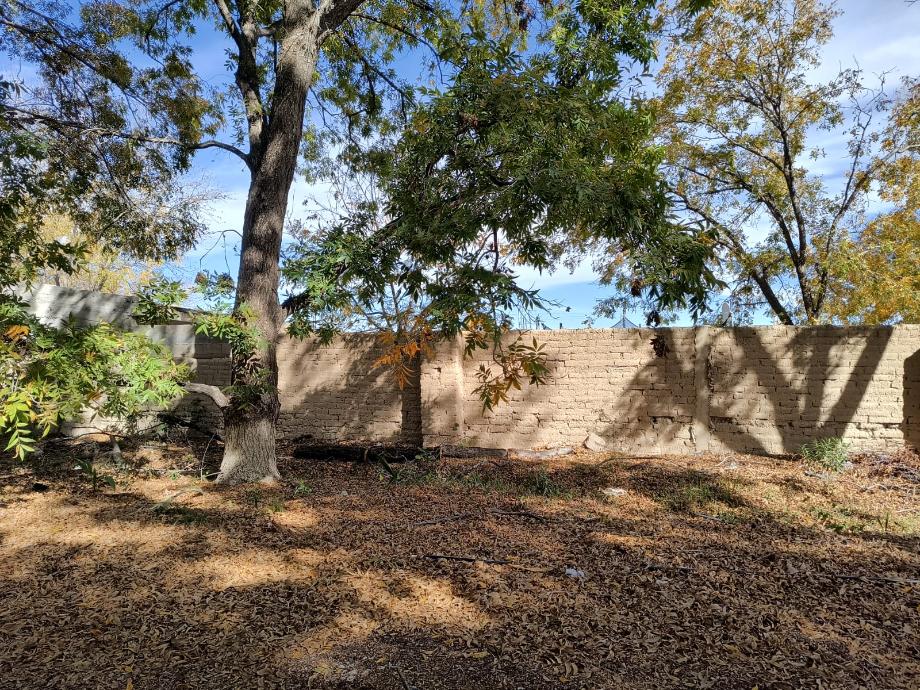 Parras, Coahuila de Zaragoza, 27987, Mexico, 1 Bedroom Bedrooms, ,Residential,For Sale,1762063