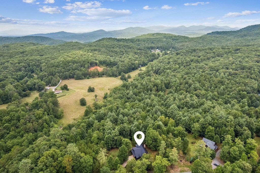 Morganton, Georgia, 30560, United States, 3 Bedrooms Bedrooms, ,3 BathroomsBathrooms,Residential,For Sale,1905378