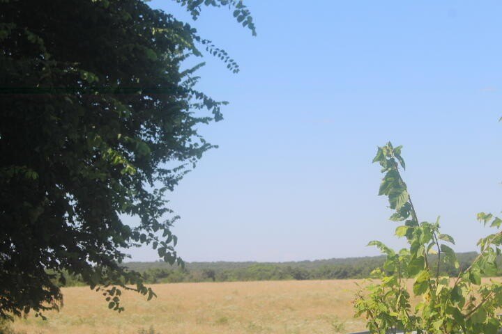 Polk, Missouri, 65727, United States, ,Land,For Sale,1980569