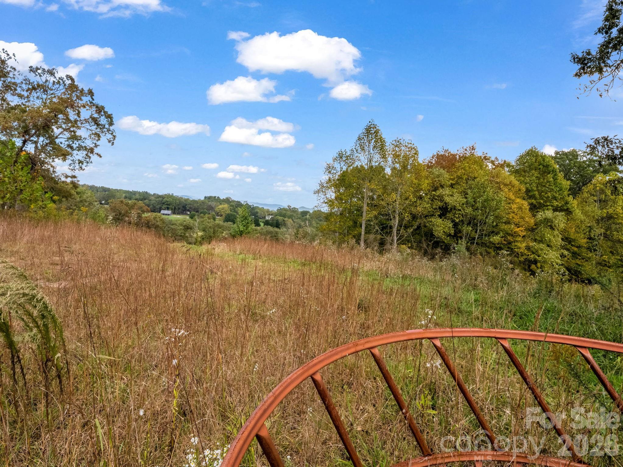 Mills River, North Carolina, 28759, United States, ,Land,For Sale,1975215