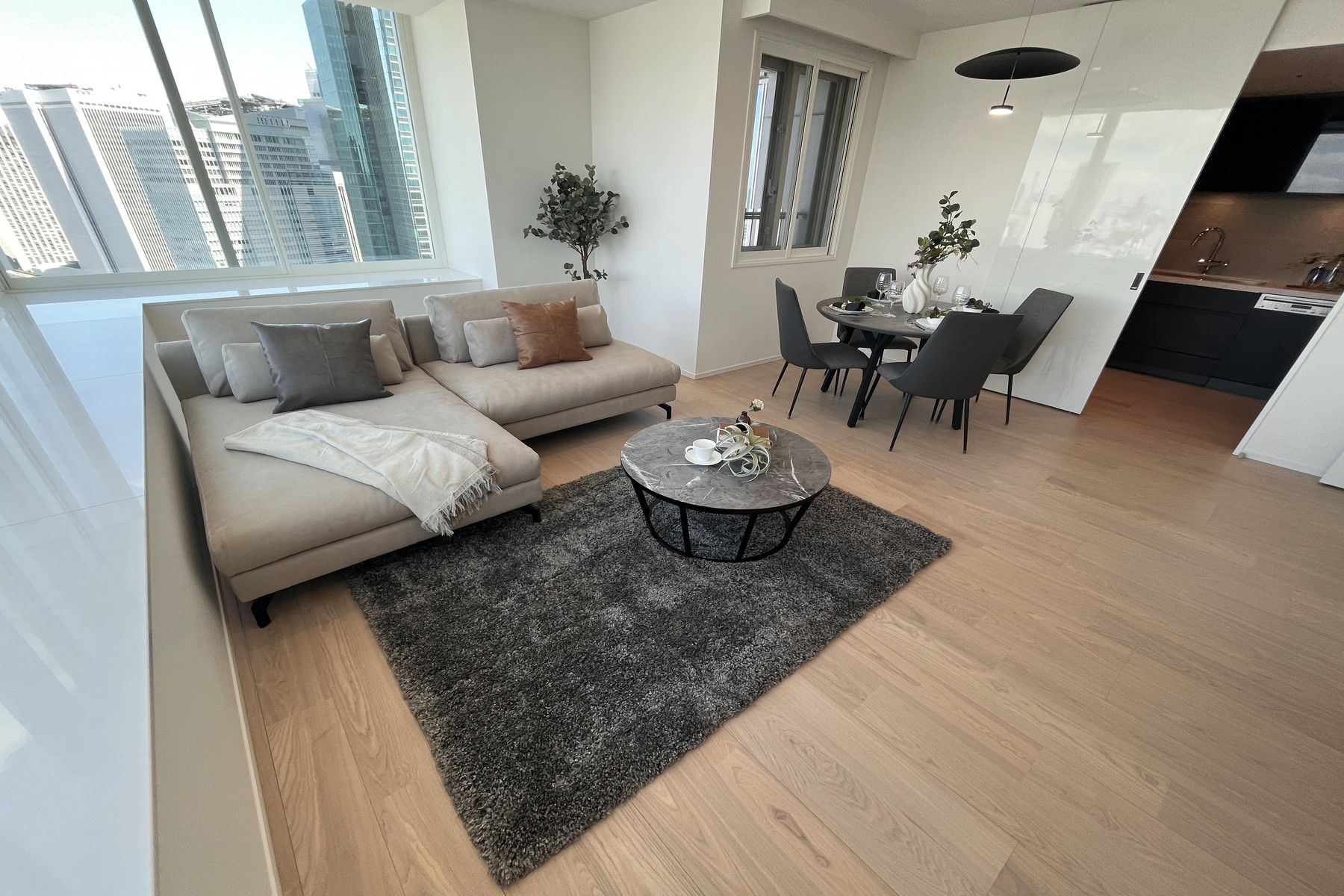  THE ROPPONGI TOKYO CLUB RESIDENCE - 物件實景