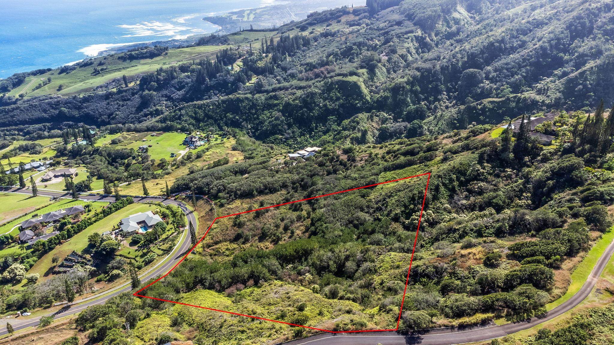 63 Lahaole Pl, Wailuku, Hawaii, 96793, United States, ,Land,For Sale,63 Lahaole Pl,1676772