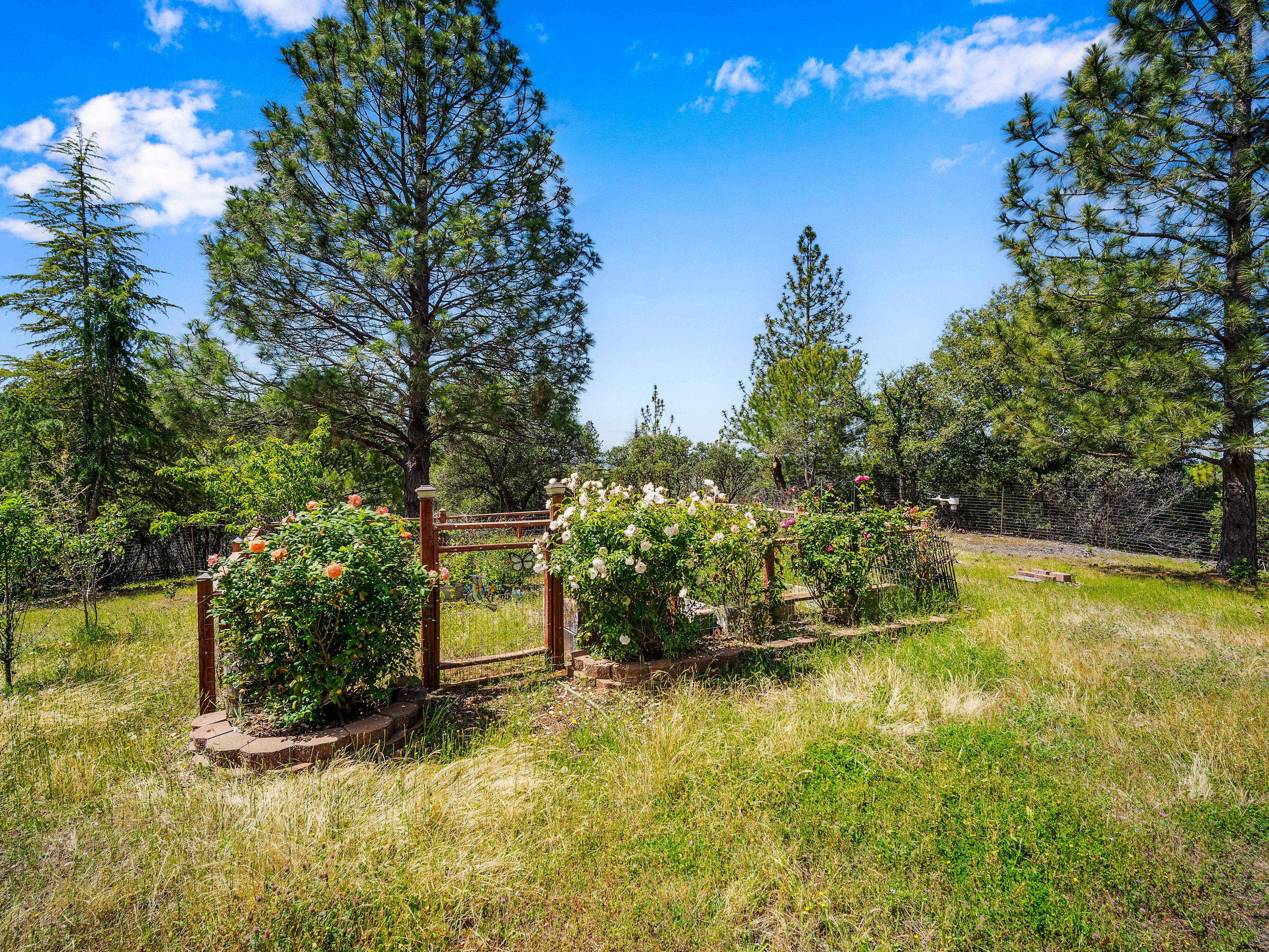  13185 Trent Court, Jackson, CA 95642 - 物件實景