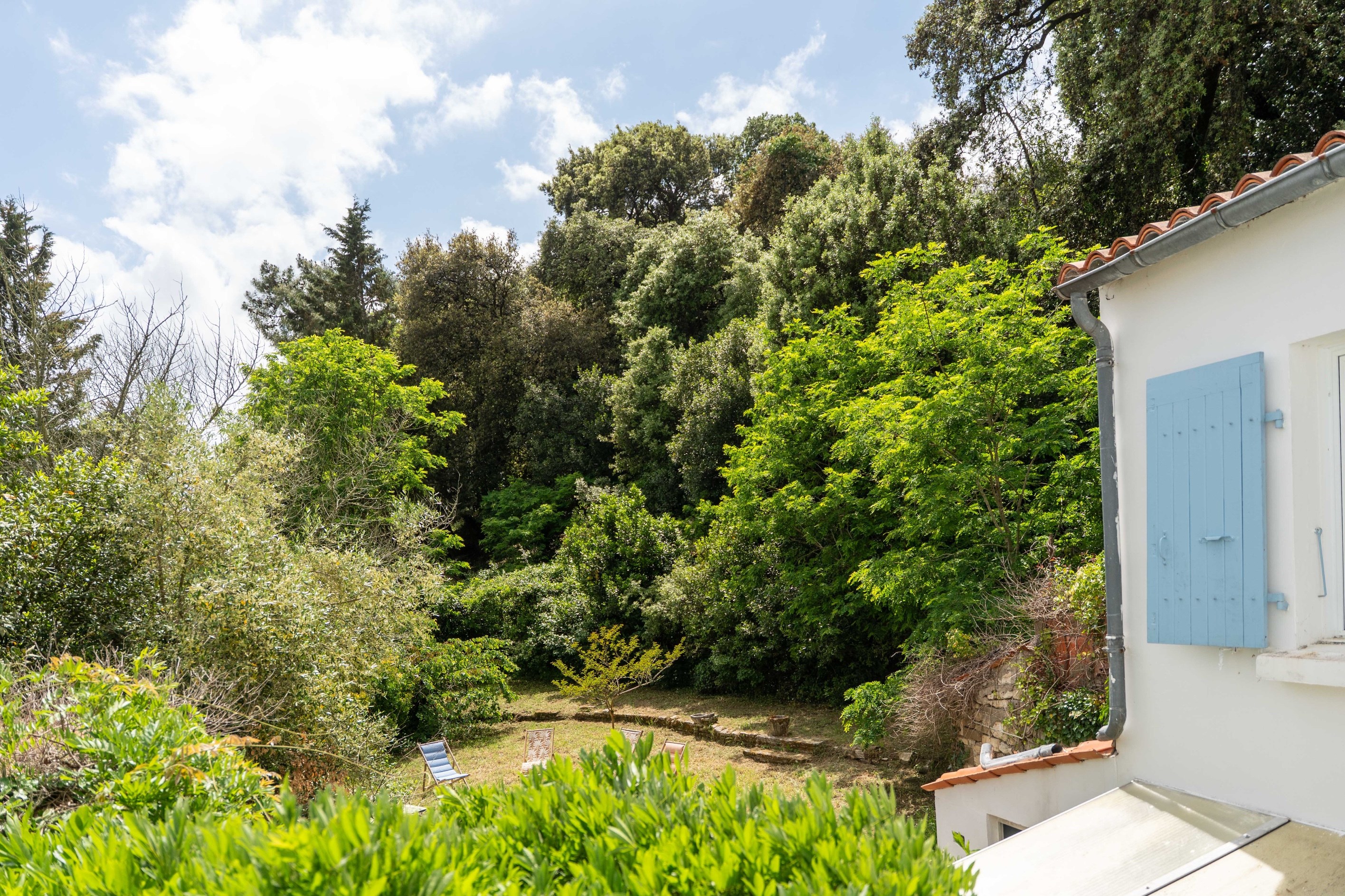  RENOVATED HOUSE, BEACH, SHOPS AND FOREST, ALL WITHIN WALKING DISTANCE - 物件實景