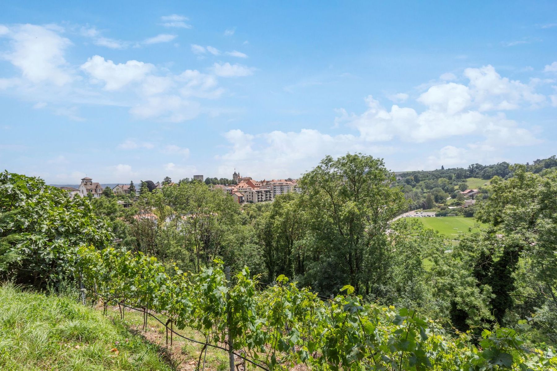  Sumptuous historic property on a wine-growing estate - 物件實景