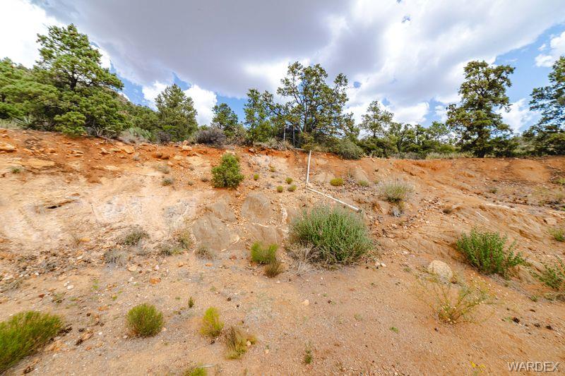 Kingman, Arizona, 86401, United States, 3 Bedrooms Bedrooms, ,2 BathroomsBathrooms,Residential,For Sale,1980873