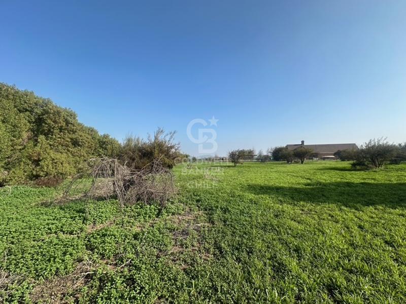 Colina, Chile, ,Land,For Sale,1907153