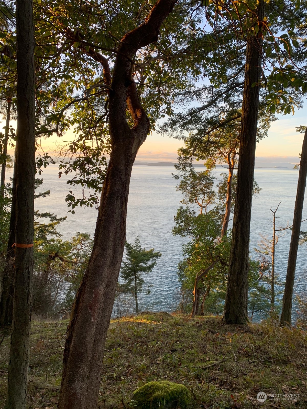 Friday Harbor, Washington, 98250, United States, ,Land,For Sale,1752518