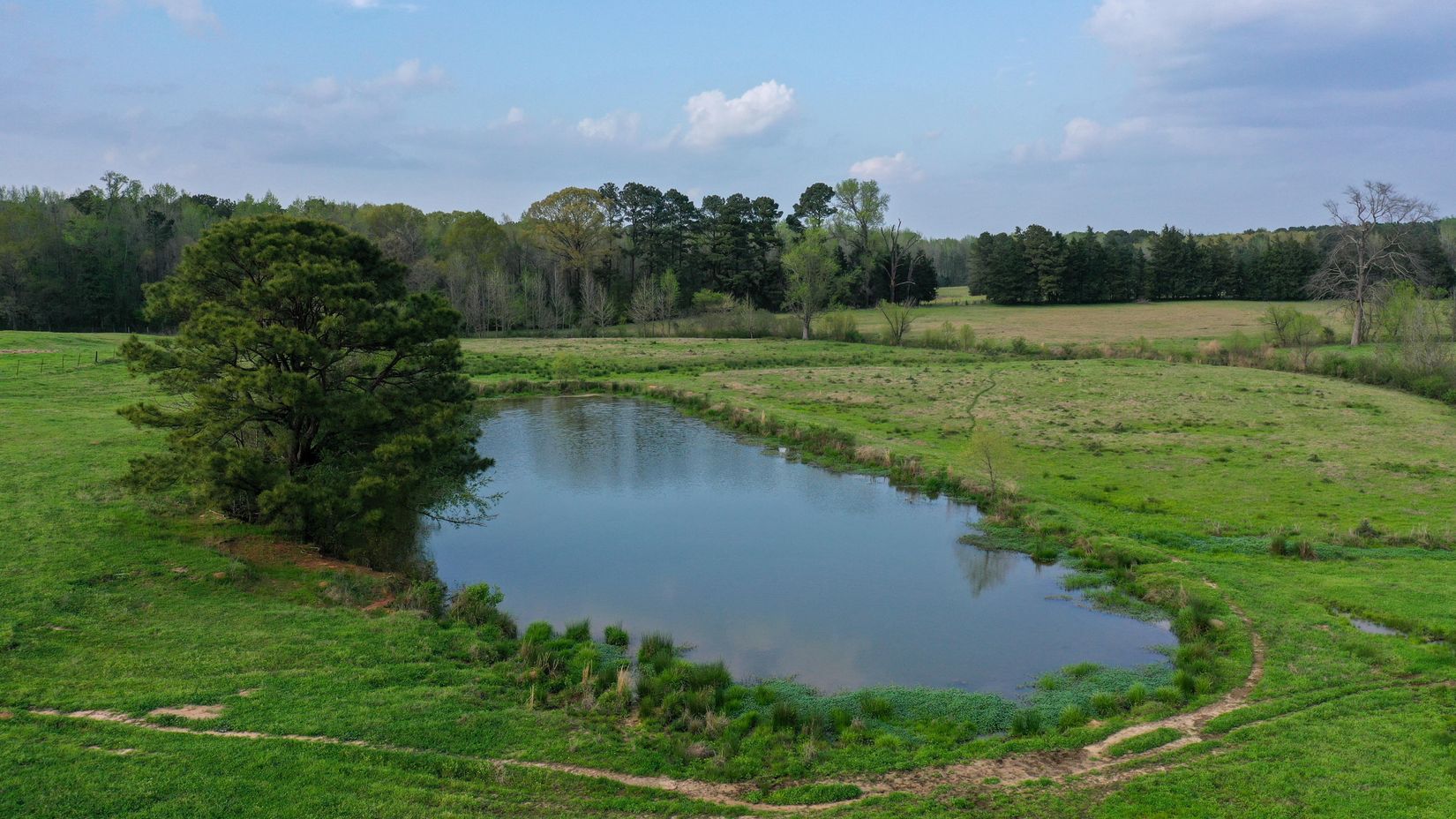 Bivins, Texas, 75555, United States, ,Residential,For Sale,1755933