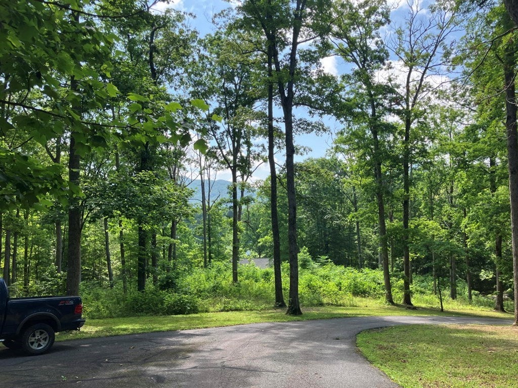 Young Harris, Georgia, 30582, United States, 3 Bedrooms Bedrooms, ,3 BathroomsBathrooms,Residential,For Sale,1847113