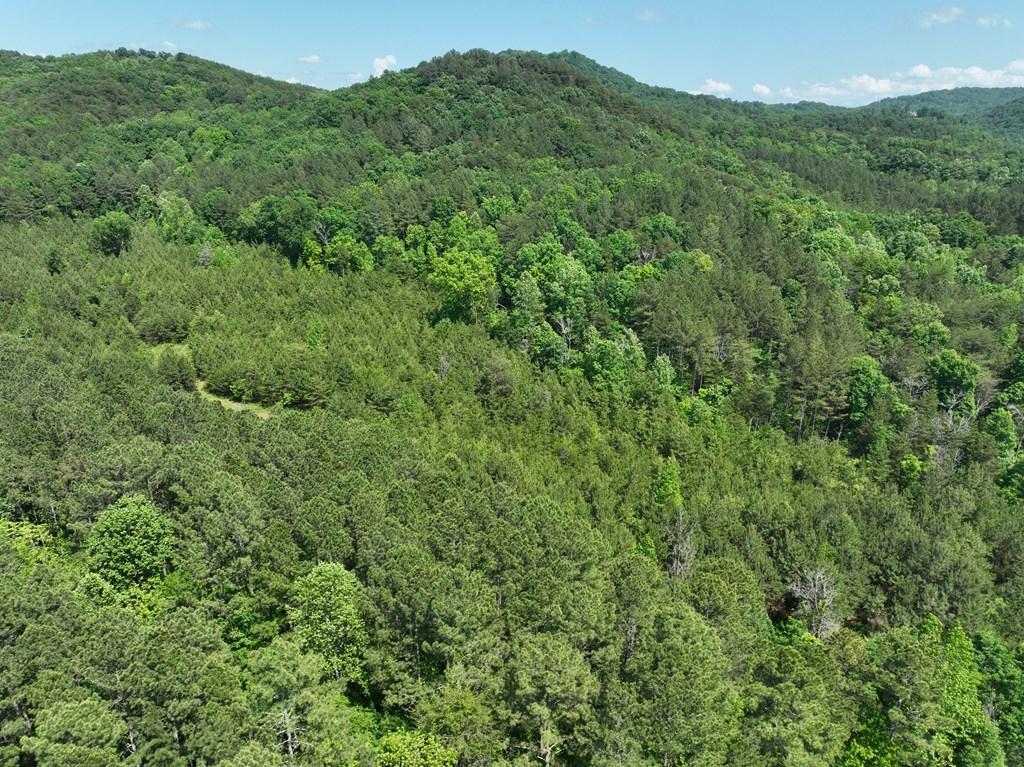 Ranger, Georgia, 30734, United States, ,Residential,For Sale,1924900