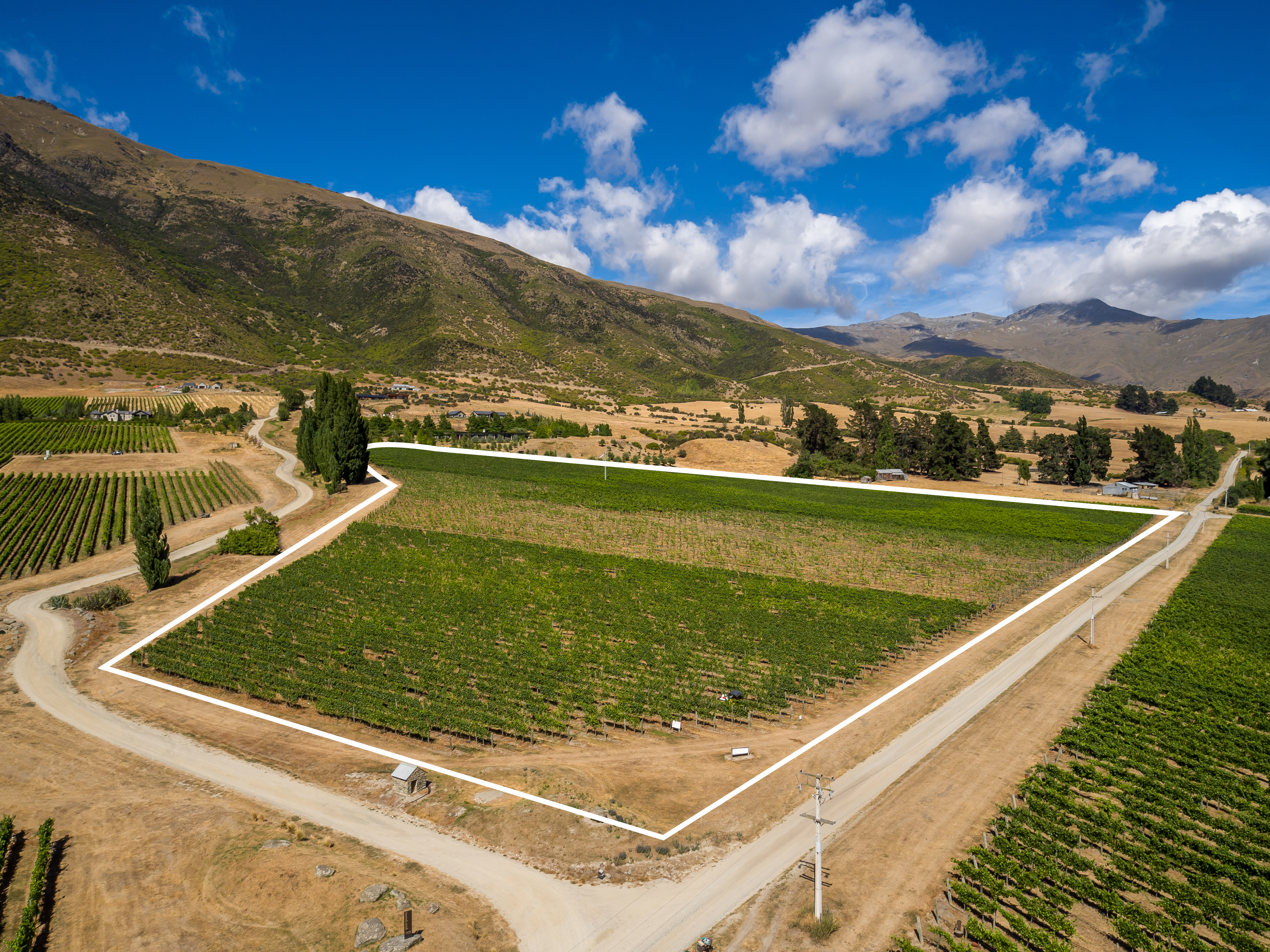  Award Winning Vineyard - 物件實景