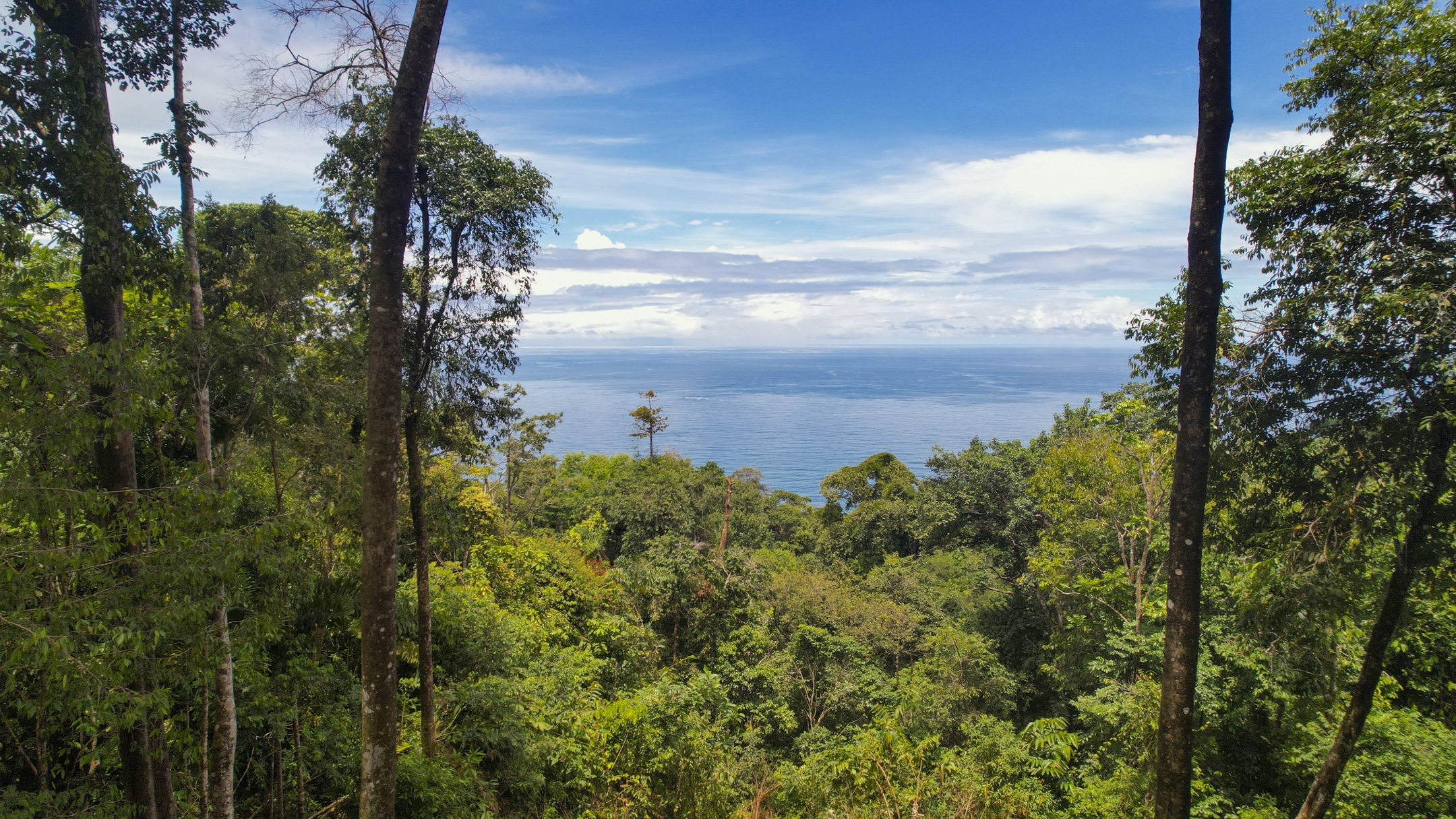 Costa Verde Estates Lot 81 & 84, Islas Road, Dominical, Puntarenas, CR, ,Land,For Sale,Costa Verde Estates Lot 81 & 84, Islas Road,1611884