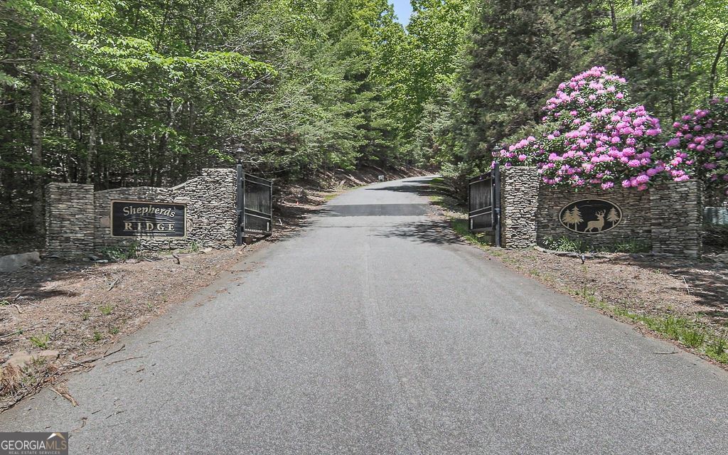 Morganton, Georgia, 30560, United States, 4 Bedrooms Bedrooms, ,4 BathroomsBathrooms,Residential,For Sale,1859002