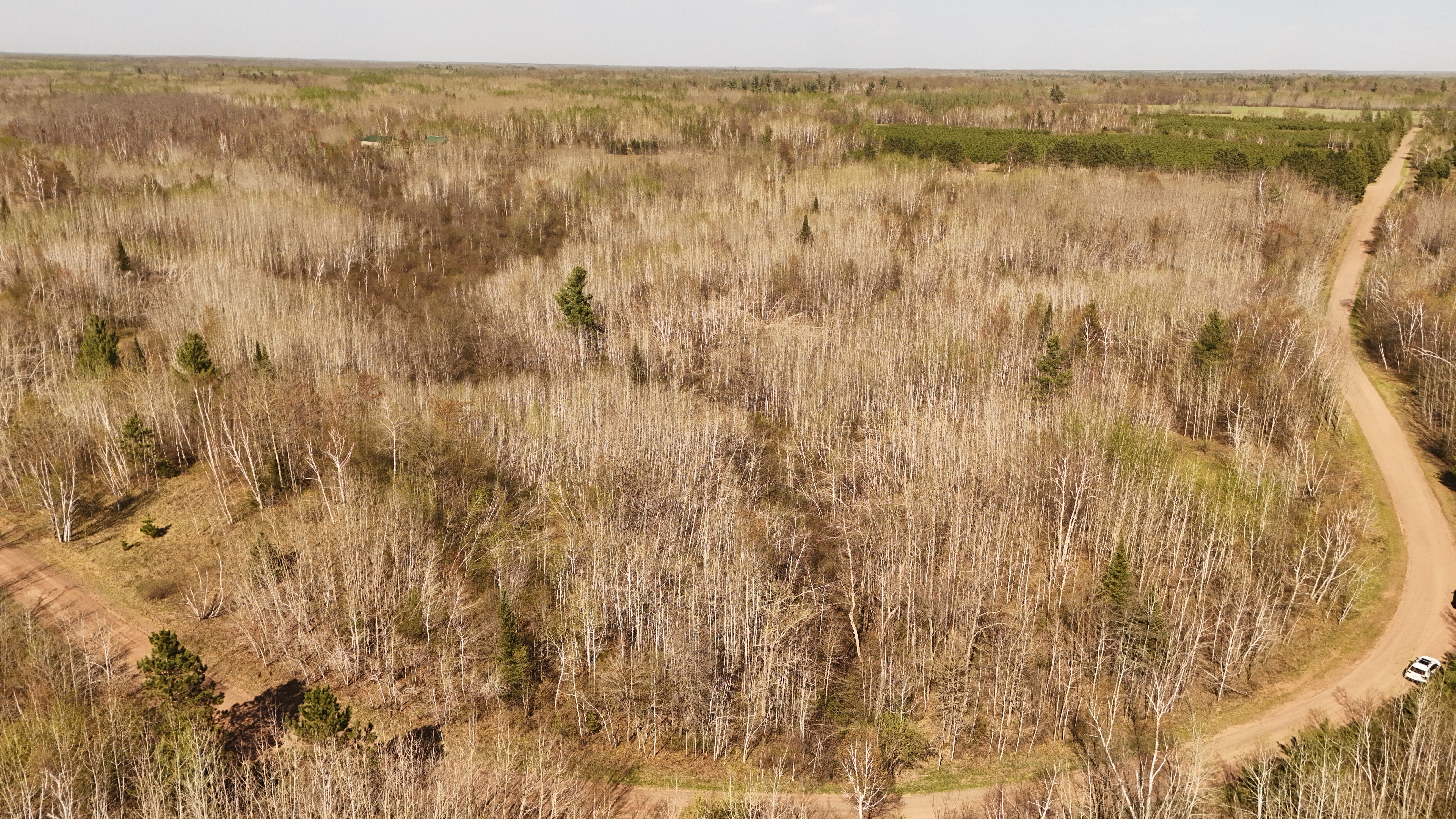  80729 Tamarack Ranch Road, Sandstone, MN 55072 - 物件實景