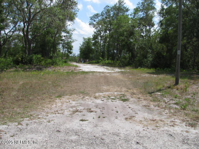 DeLeon Springs, Florida, 32130, United States, ,Land,For Sale,1978390