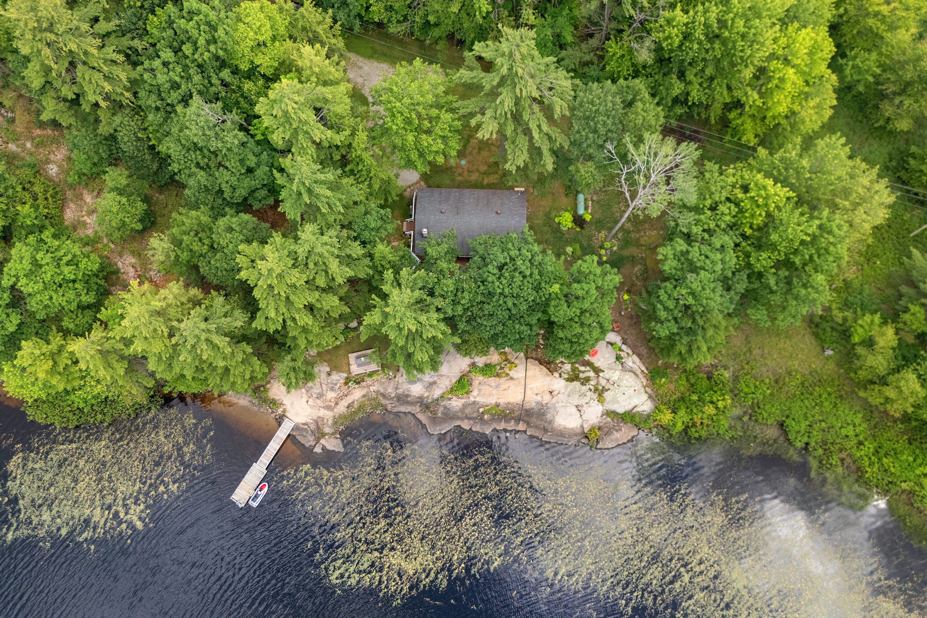  Gibson Lake Family Cottage - 物件實景