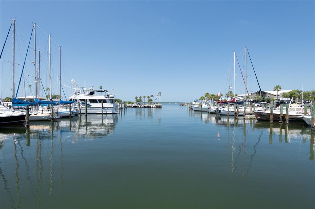 Dunedin, Florida, 34698, United States, 3 Bedrooms Bedrooms, ,3 BathroomsBathrooms,Residential,For Sale,1975288