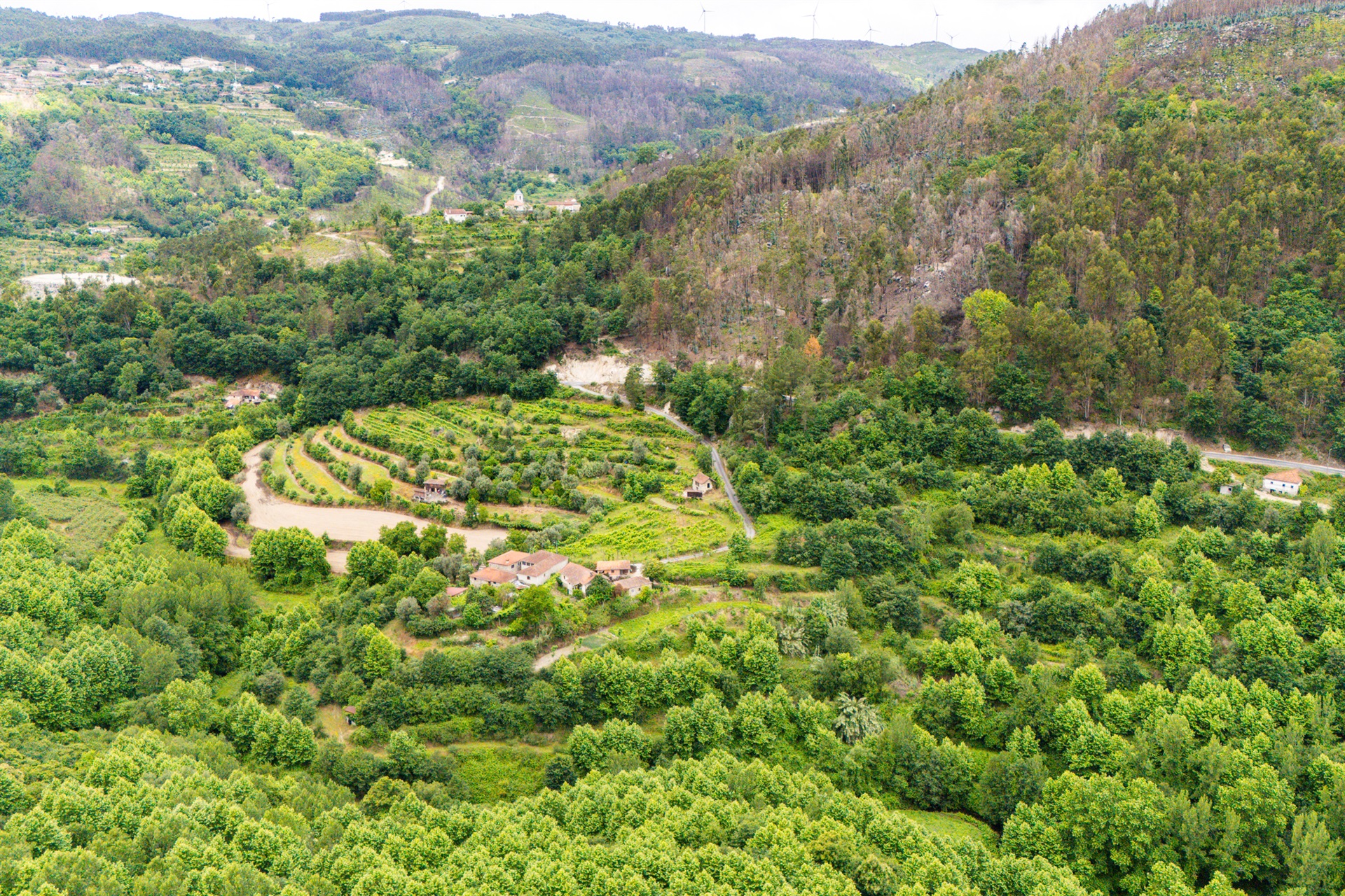  Farm, 3 bedrooms, for Sale - 物件實景