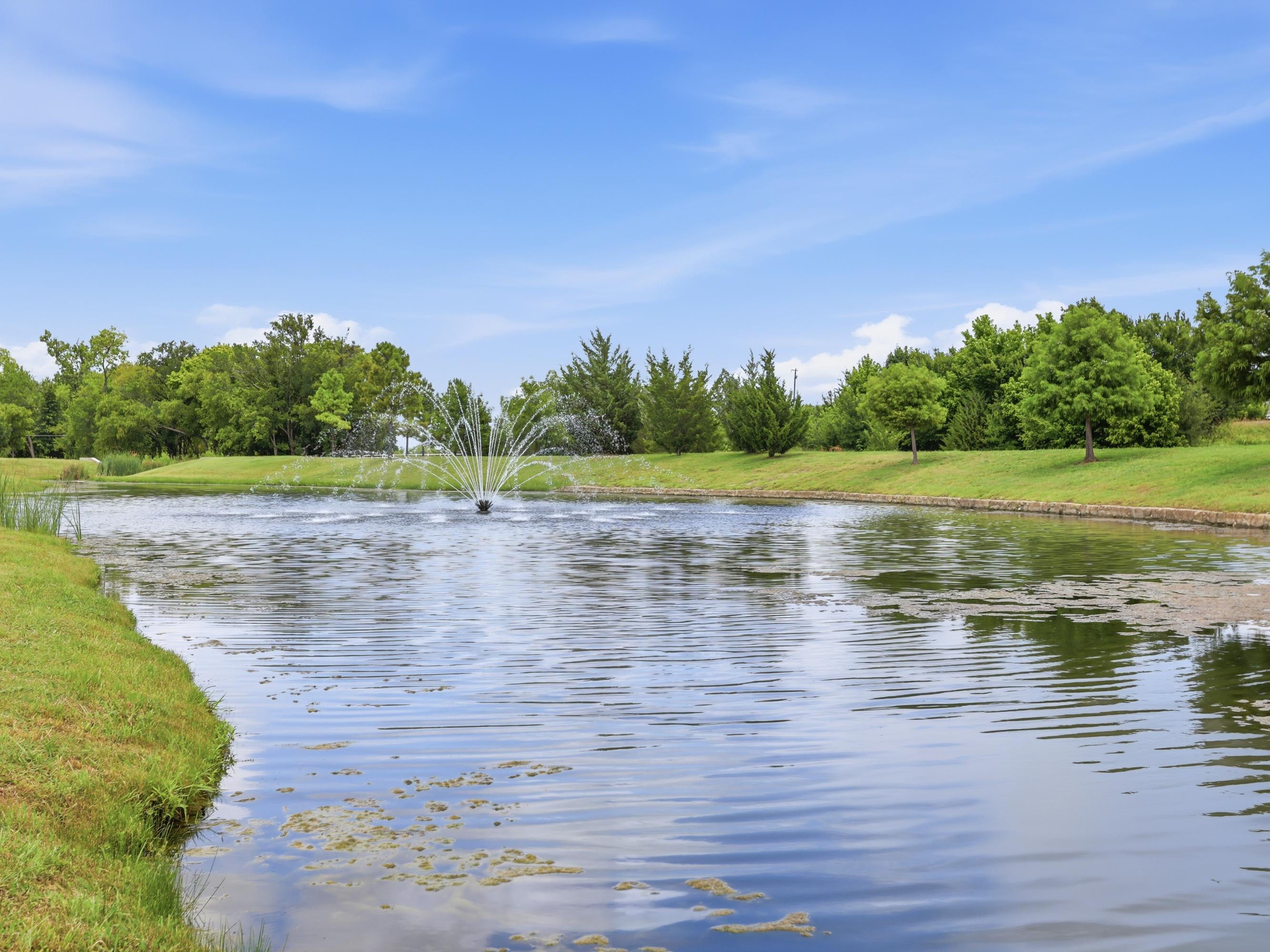  167 Stirling Drive, Argyle, TX, 76226 - 物件實景