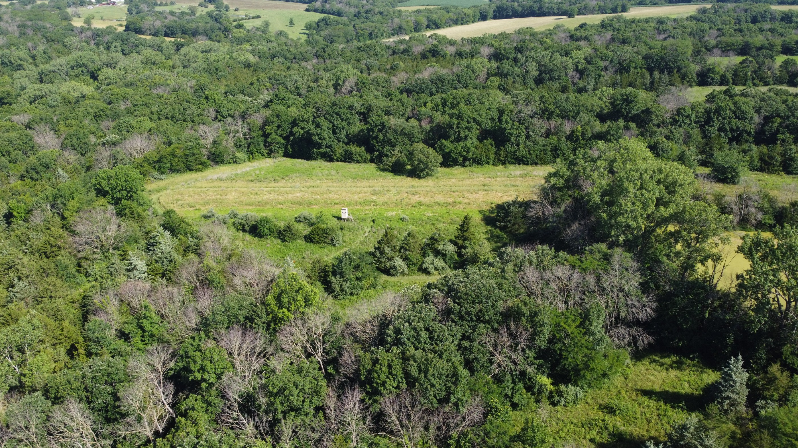 Princeton, Missouri, 64673, United States, ,Residential,For Sale,1943016