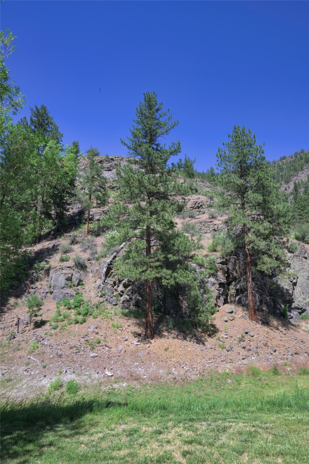 8045 Mt Hwy 200, Plains, Montana, 59859, United States, 3 Bedrooms Bedrooms, ,1 BathroomBathrooms,Residential,For Sale,8045 Mt Hwy 200,1586647