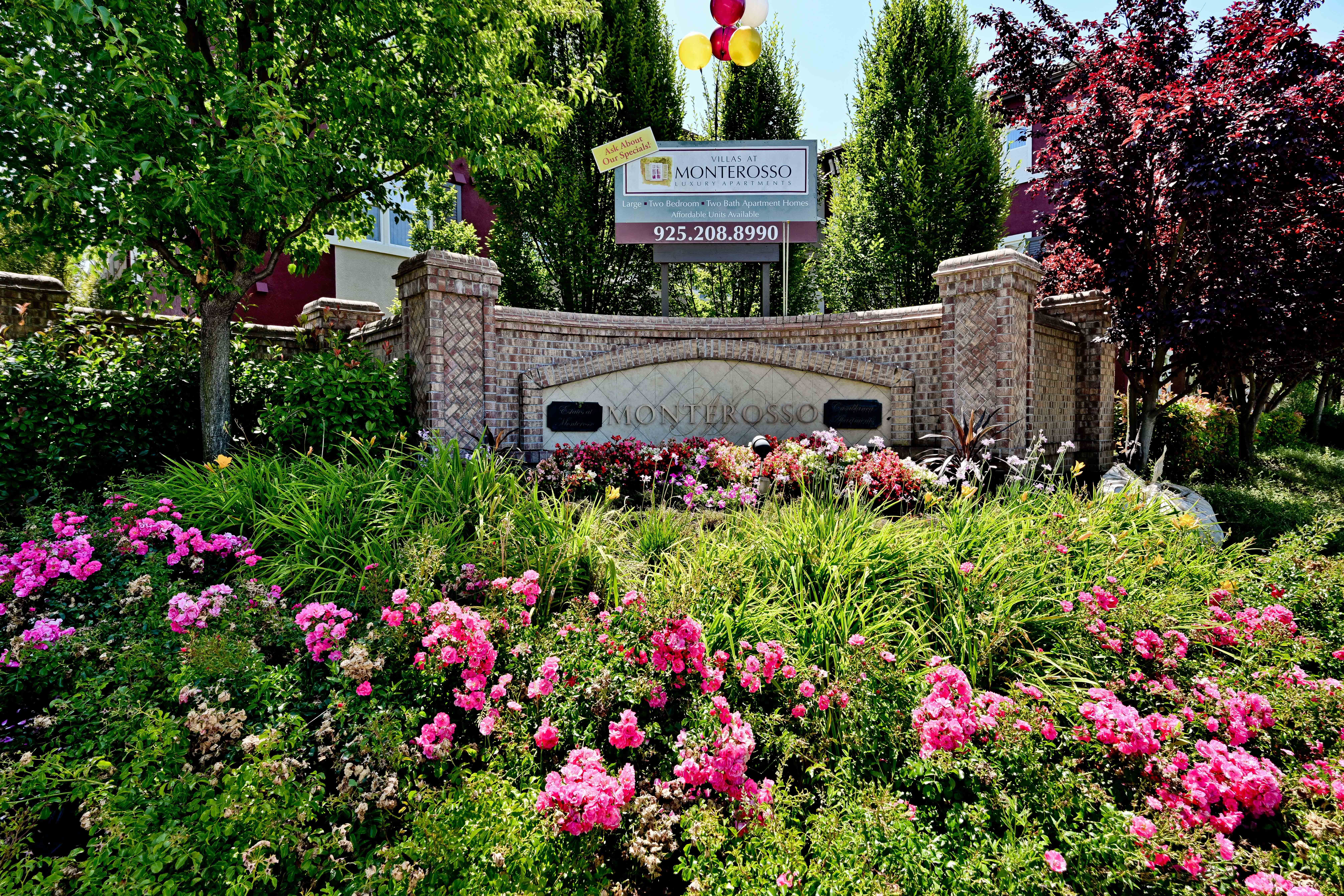  Stunning Monterosso Estate on Private Court with Designer Indoor-Outdoor Living - 物件實景