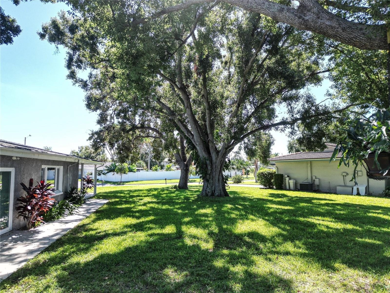 SEMINOLE, Florida, 33772, United States, 3 Bedrooms Bedrooms, ,2 BathroomsBathrooms,Residential,For Sale,1981343