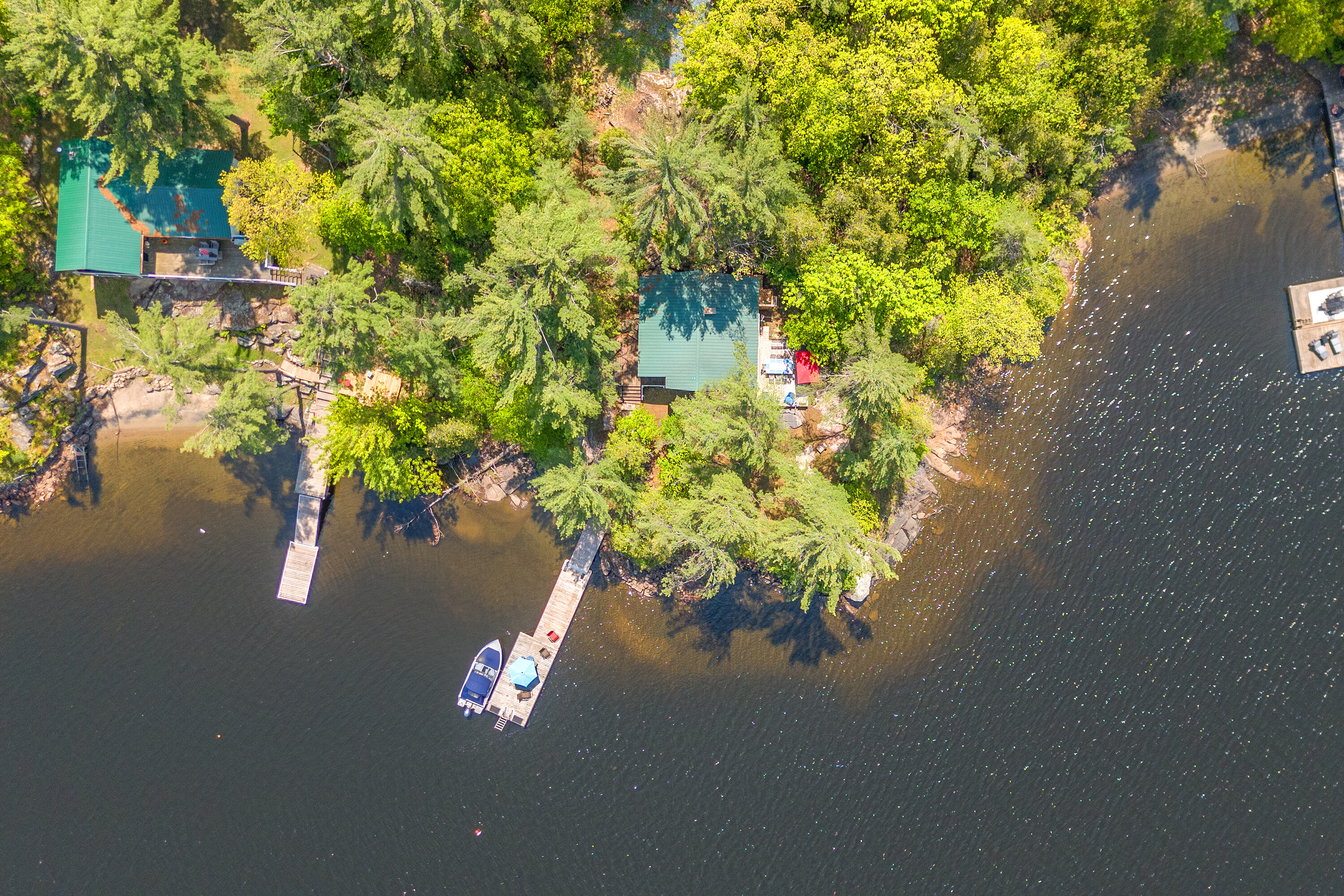  Family Cottage On Georgian Bay - 物件實景
