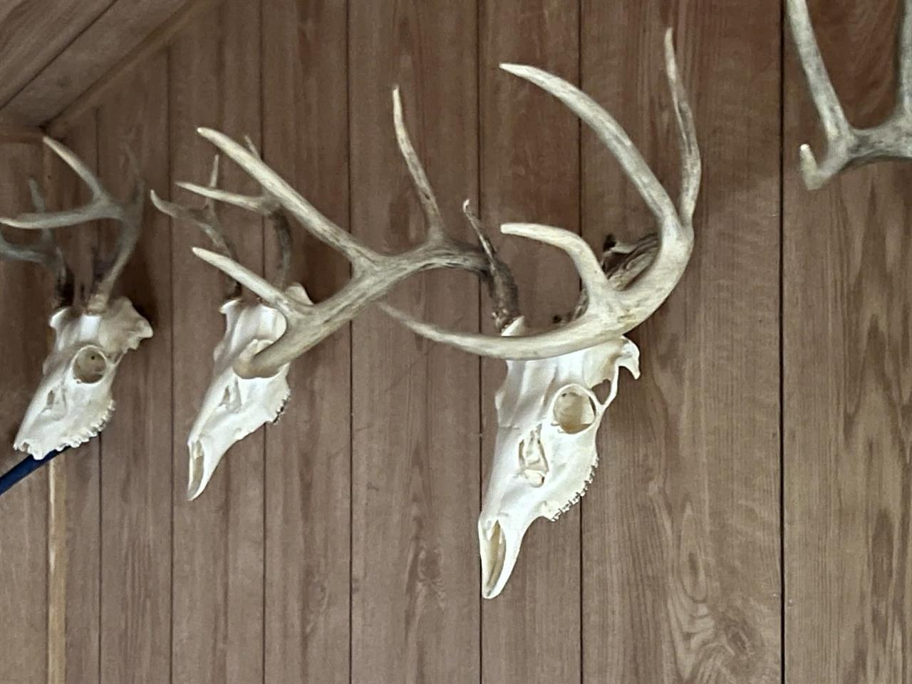 La Valle, Wisconsin, 53941, United States, 7 Bedrooms Bedrooms, ,Residential,For Sale,1995169