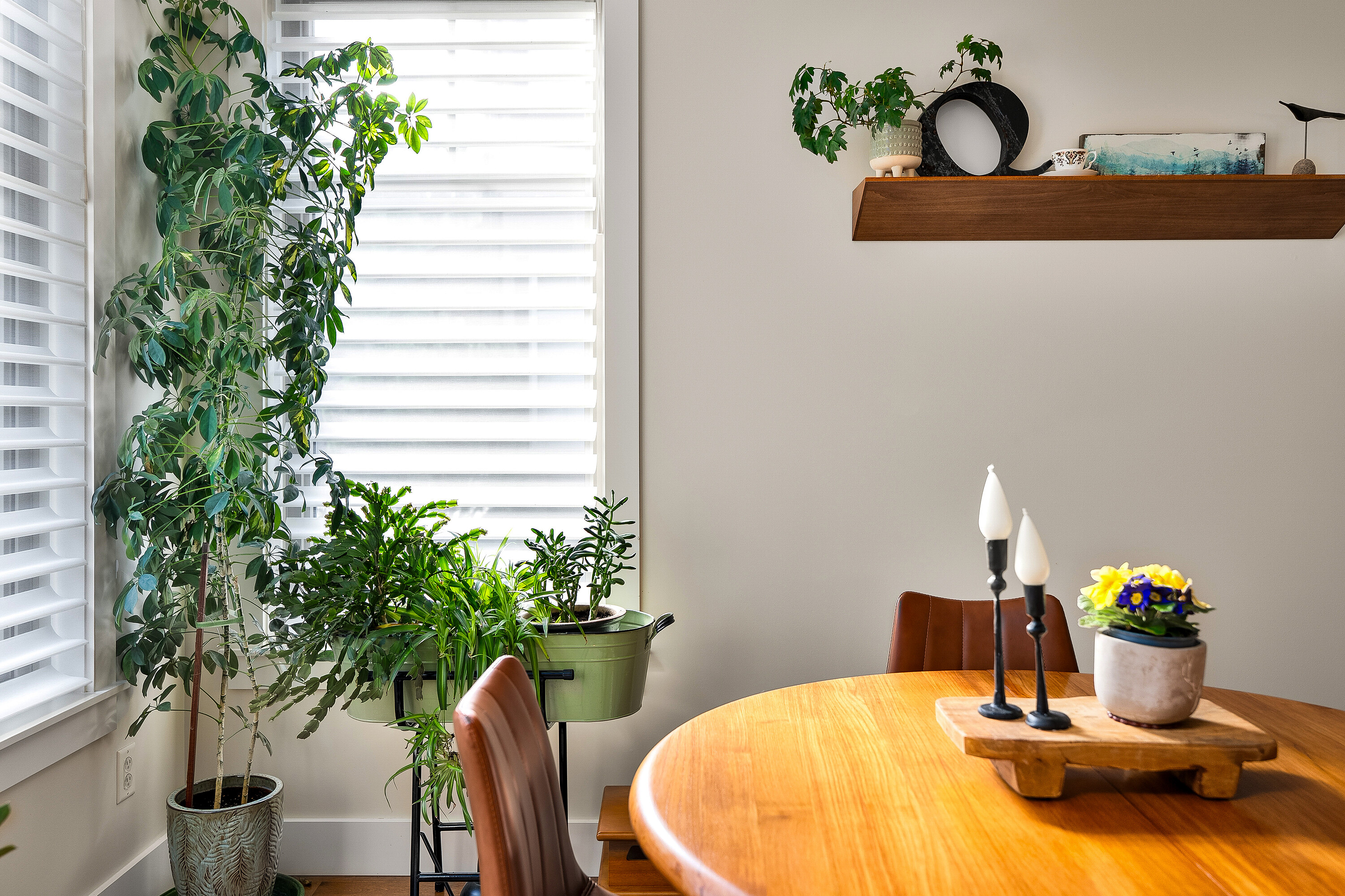  Meticulous Predator Ridge Home - 物件實景