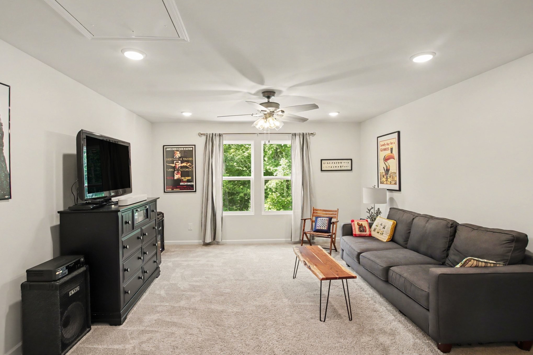  229 Brook Ave, White House, TN, 37188 - 物件實景