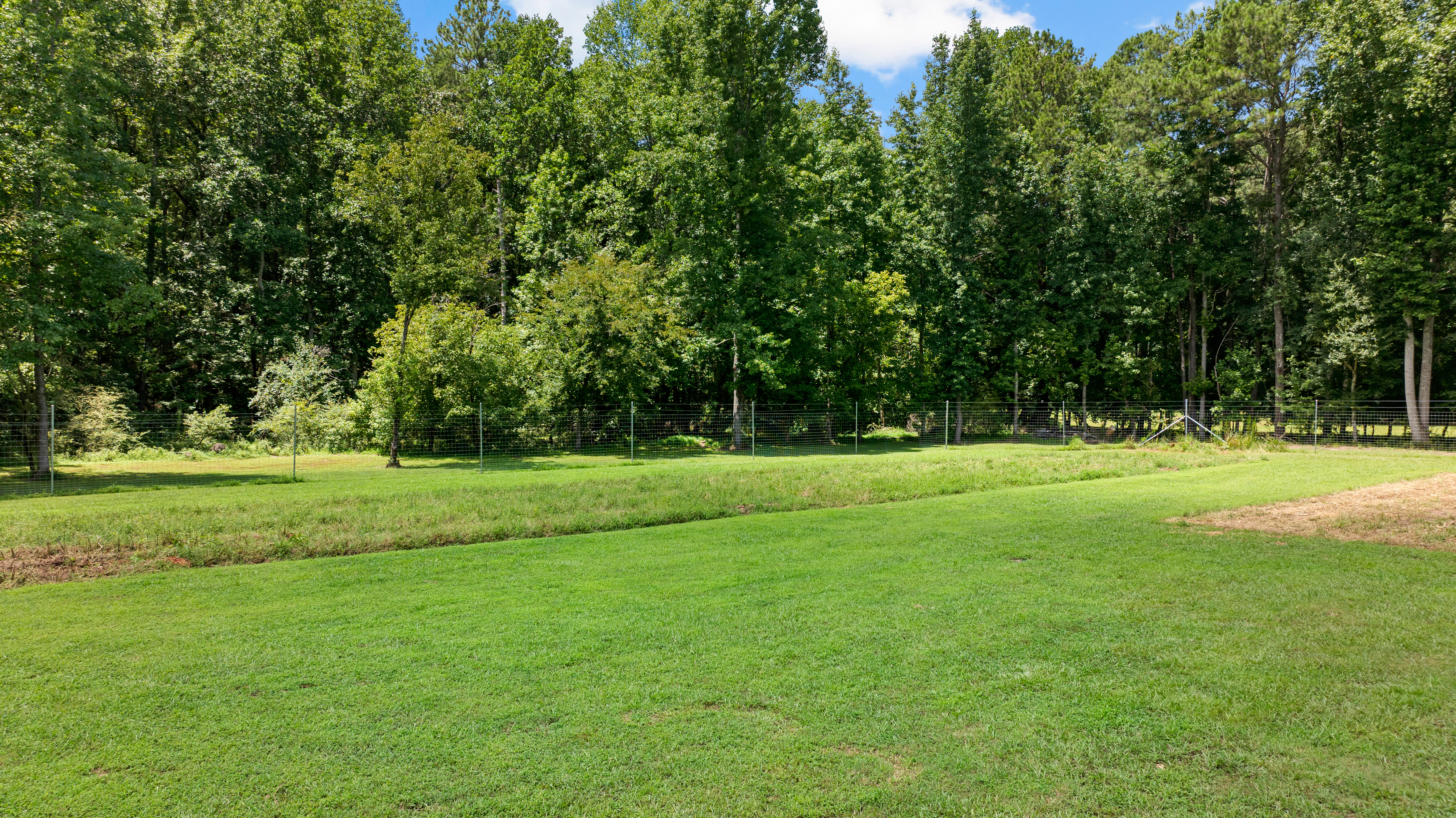  52 +/- Acres of Working Land and Quiet Woods - 物件實景