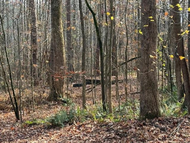 Talking Rock, Georgia, 30175, United States, ,Land,For Sale,1995157