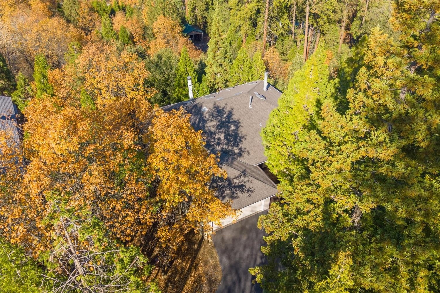 Murphys, California, 95247, United States, 4 Bedrooms Bedrooms, ,3 BathroomsBathrooms,Residential,For Sale,2005756