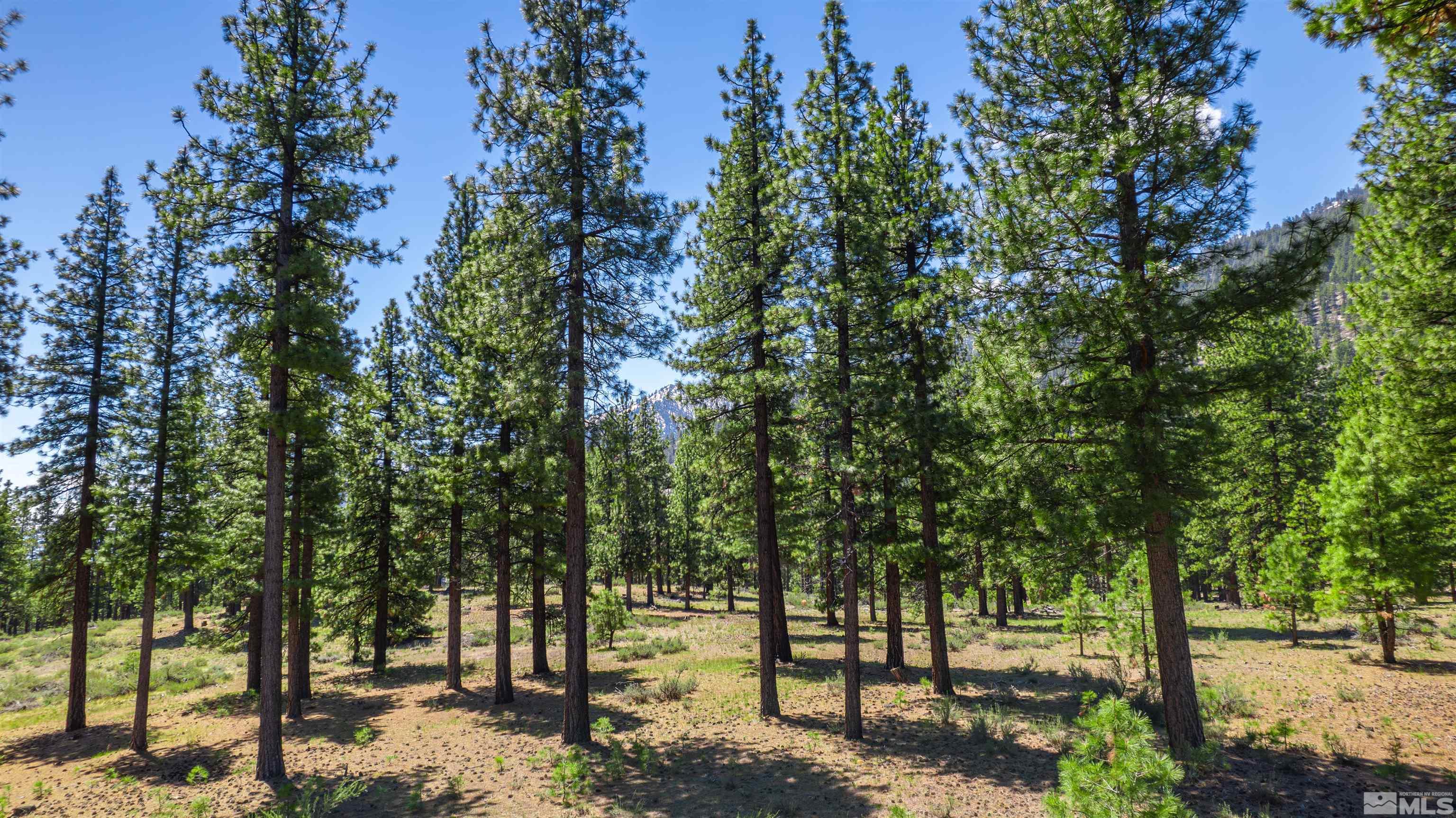 Carson City, Nevada, 89705, United States, ,Land,For Sale,1826407