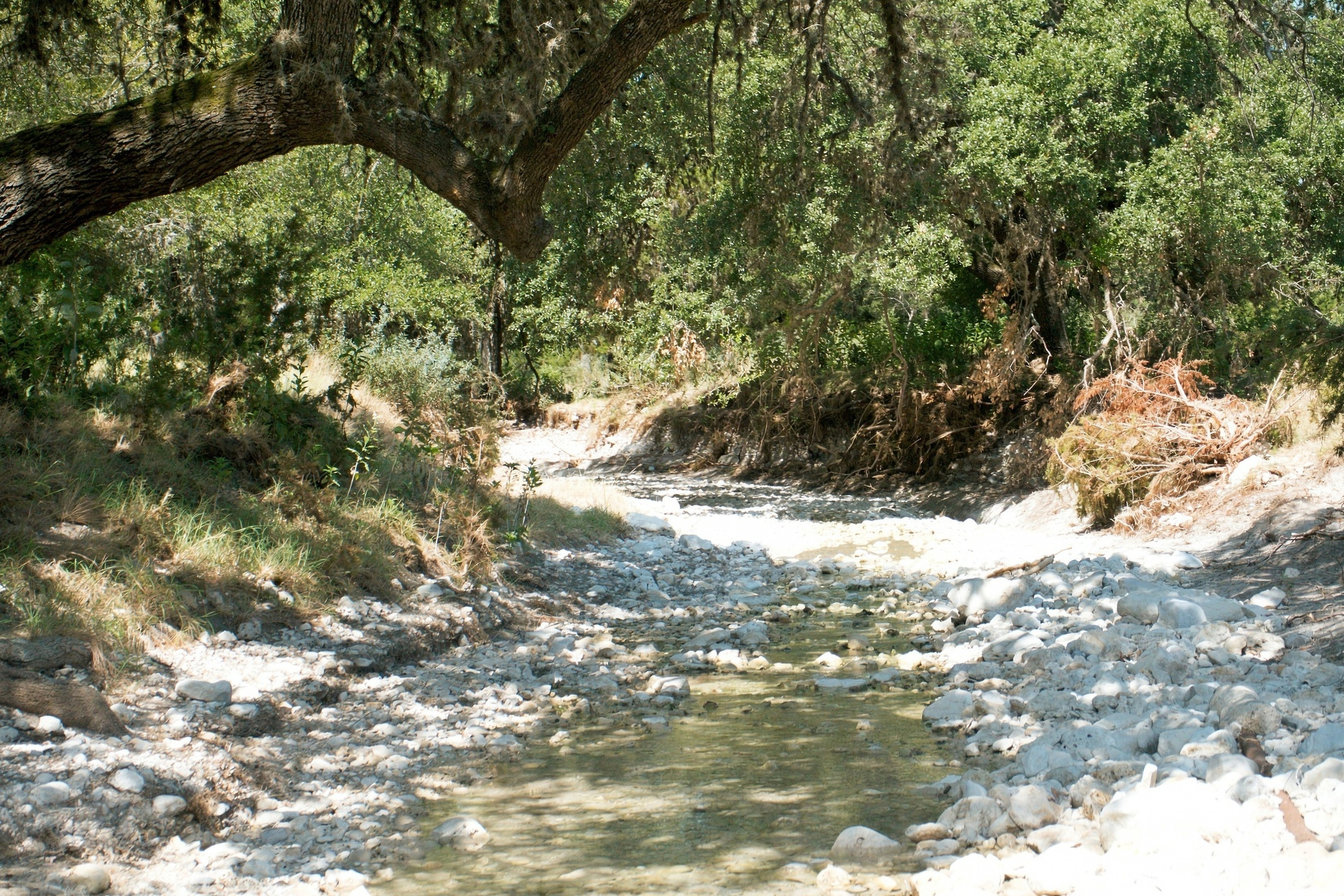  985+/- Acre 12 Springs Ranch - 物件實景