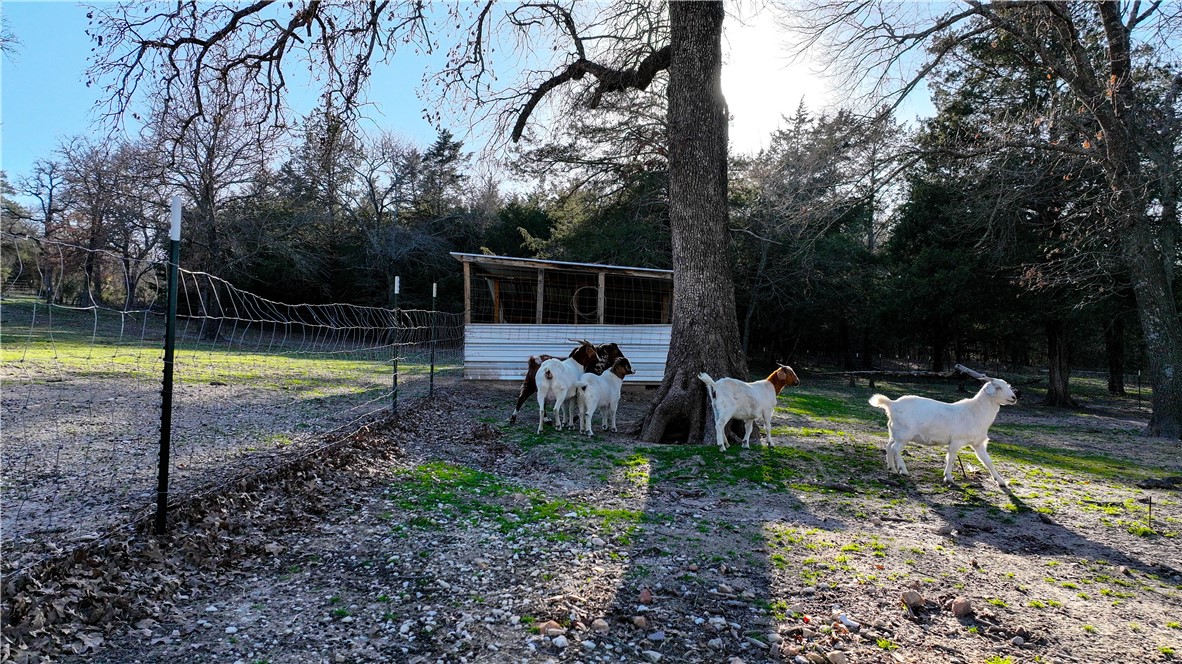 2601 Seldom Seen Road, Other, Texas, 78239, United States, 3 Bedrooms Bedrooms, ,2 BathroomsBathrooms,Residential,For Sale,2601 Seldom Seen Road,1546396
