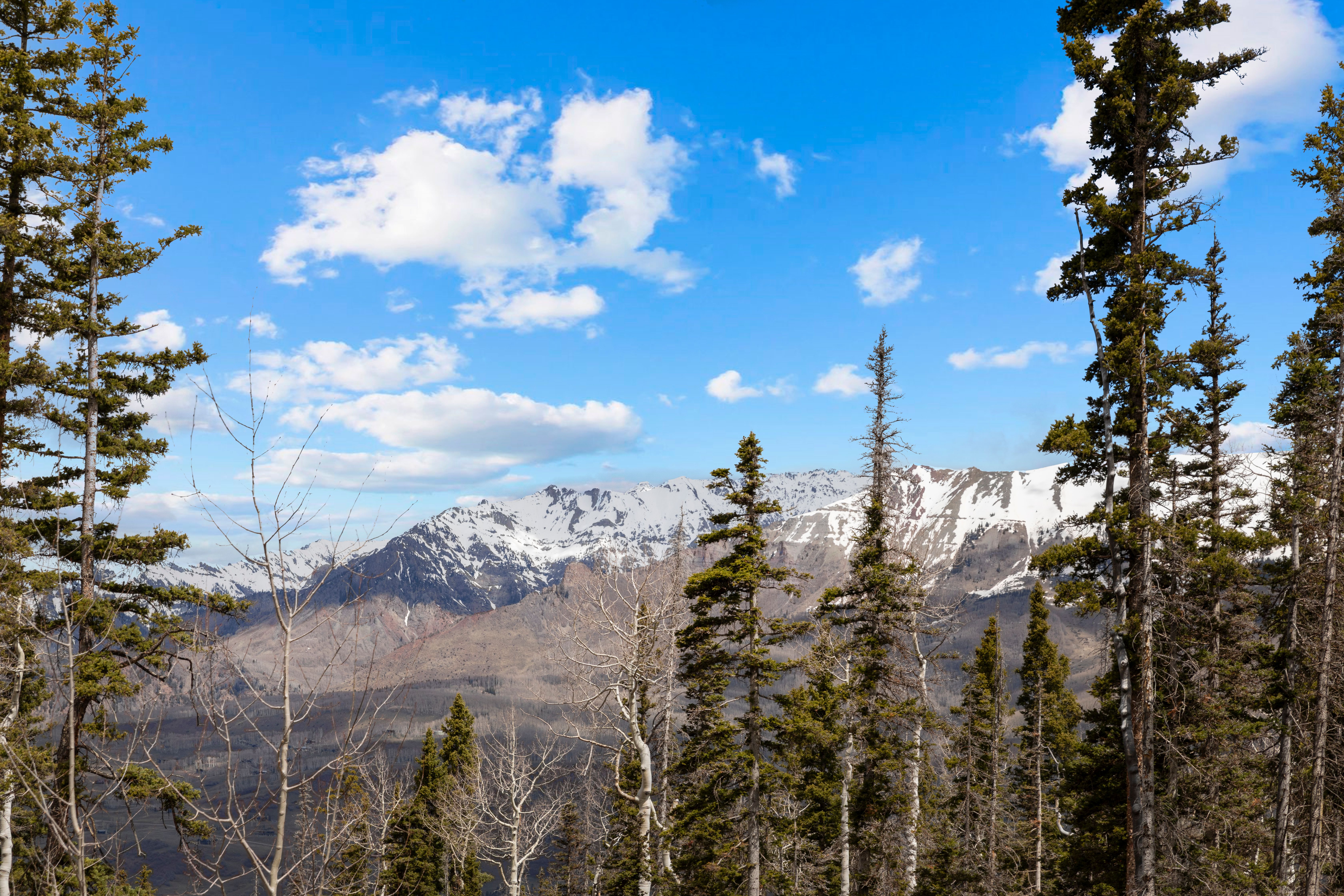  Stunning Panoramic Views From One Of The Largest Lots In Mountain Village - 物件實景