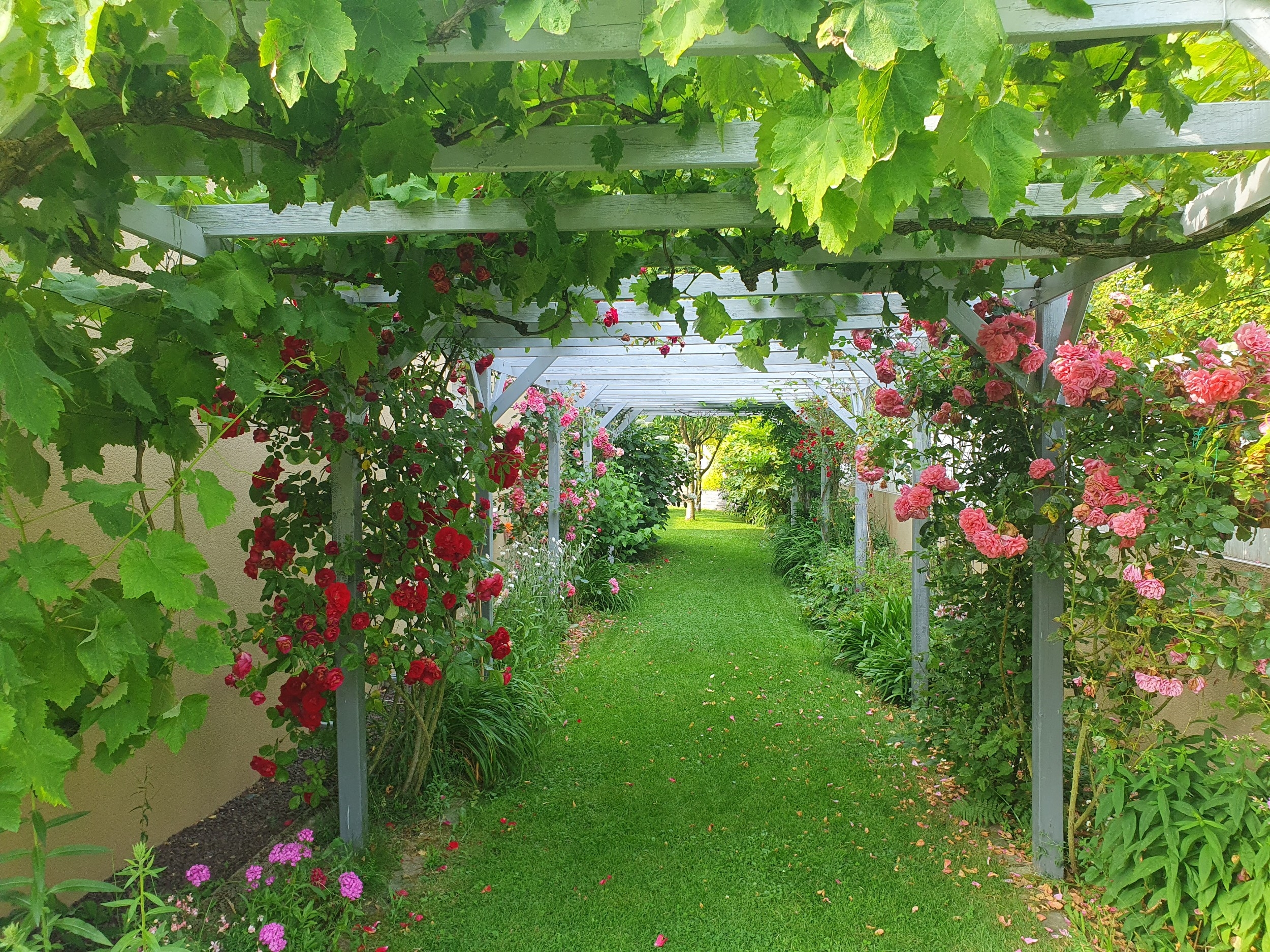  Comfortable and spacious villa of 500m2, ideal for a multigeneration or B+B pro… - 物件實景