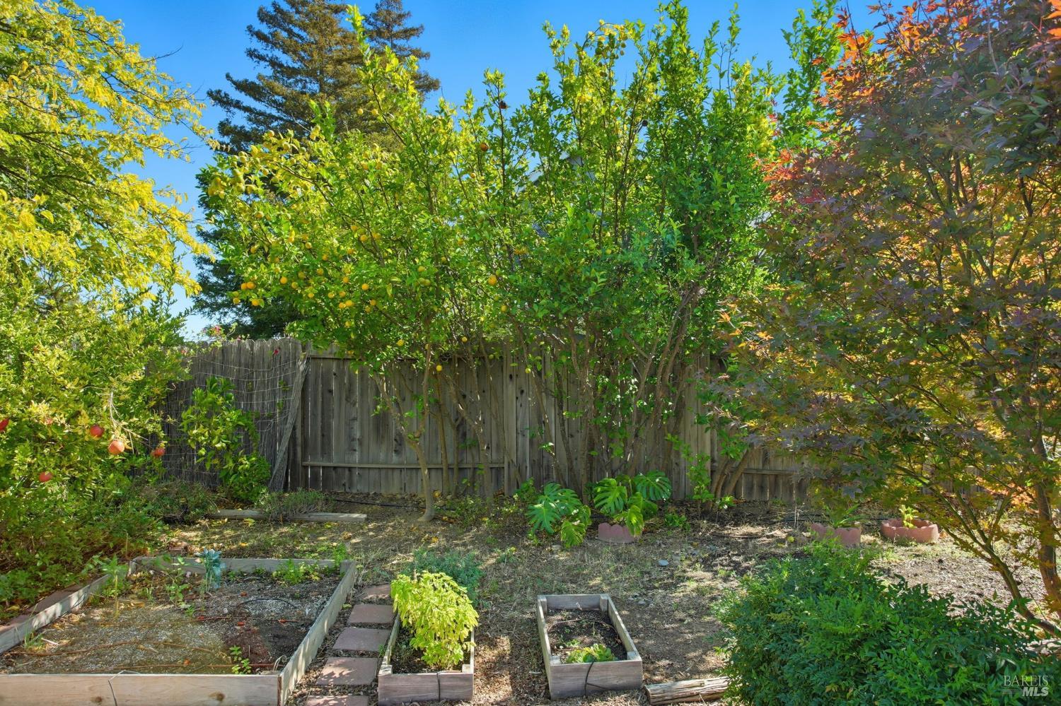 Fairfield, California, 94534, United States, 4 Bedrooms Bedrooms, ,3 BathroomsBathrooms,Residential,For Sale,1970251