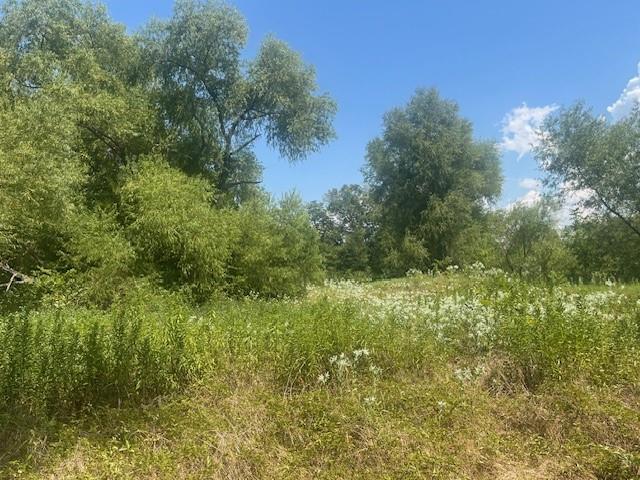 Commerce, Texas, 75428, United States, 7 Bedrooms Bedrooms, ,6 BathroomsBathrooms,Residential,For Sale,1984183