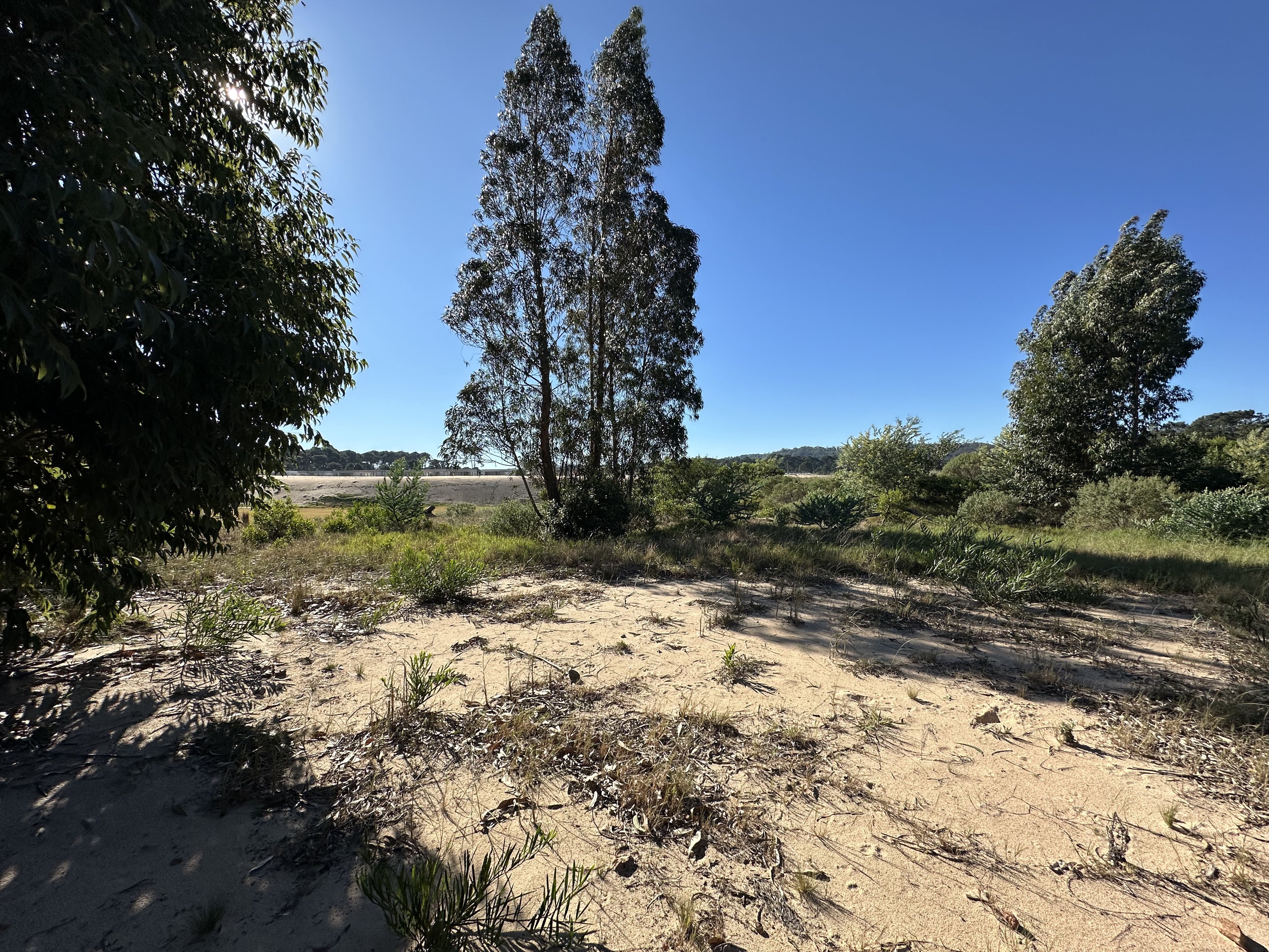  Excellent lot in Bosque de Punta Ballena - 物件實景