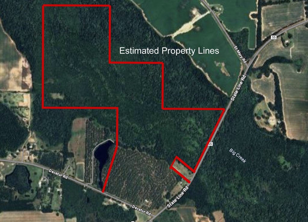 Cottonwood, Alabama, 36320, United States, ,Land,For Sale,1840022