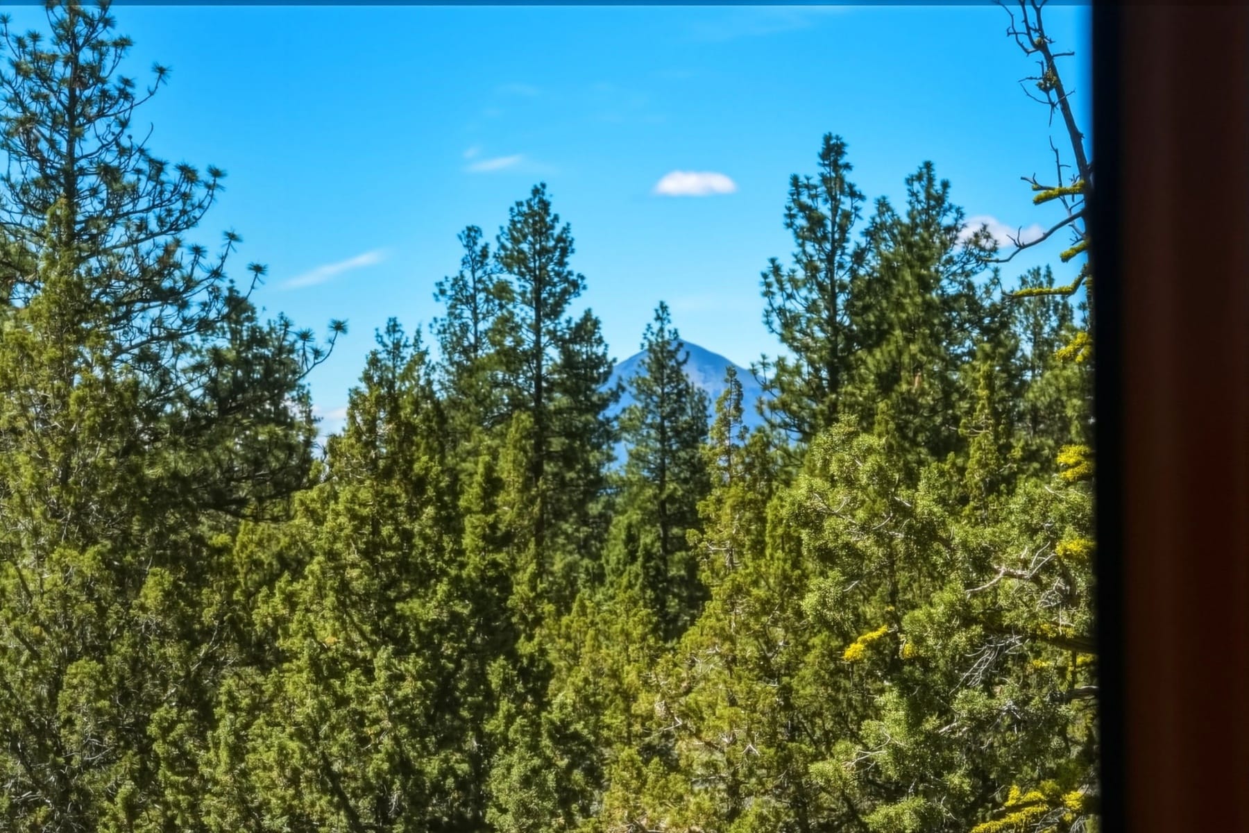  16670 Jordan Road Sisters, OR 97759 - 物件實景