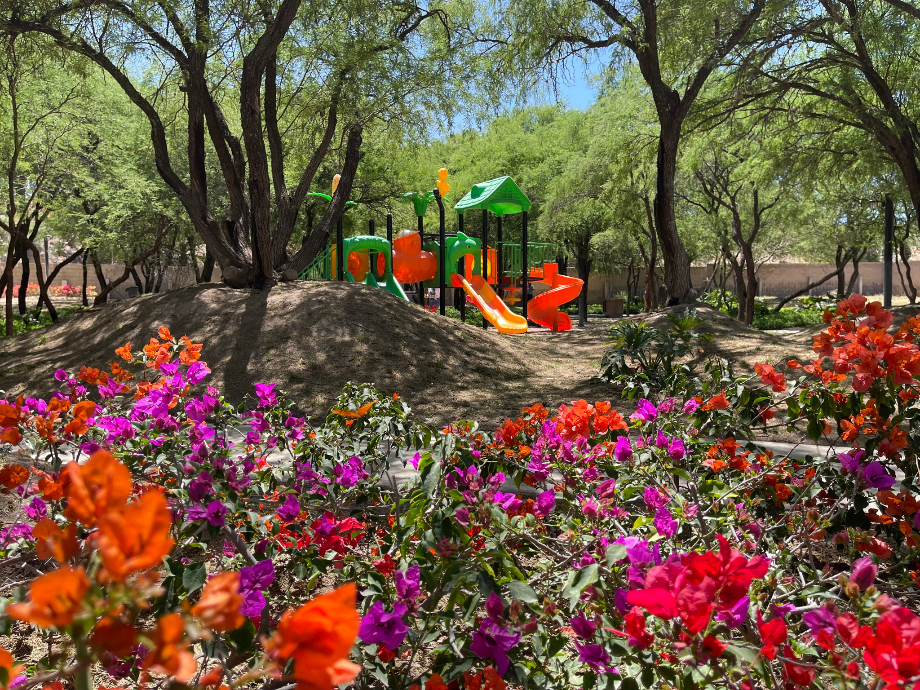 San Blas, AGUASCALIENTES, Aguascalientes, 20218, Mexico, 3 Bedrooms Bedrooms, ,2 BathroomsBathrooms,Residential,For Sale,San Blas,1672304