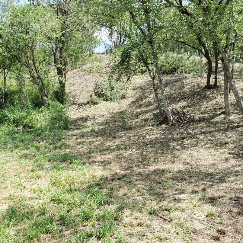 gonzalez, Santiago, Nuevo León, 67300, Mexico, 1 Bedroom Bedrooms, ,Residential,For Sale,gonzalez,1441494