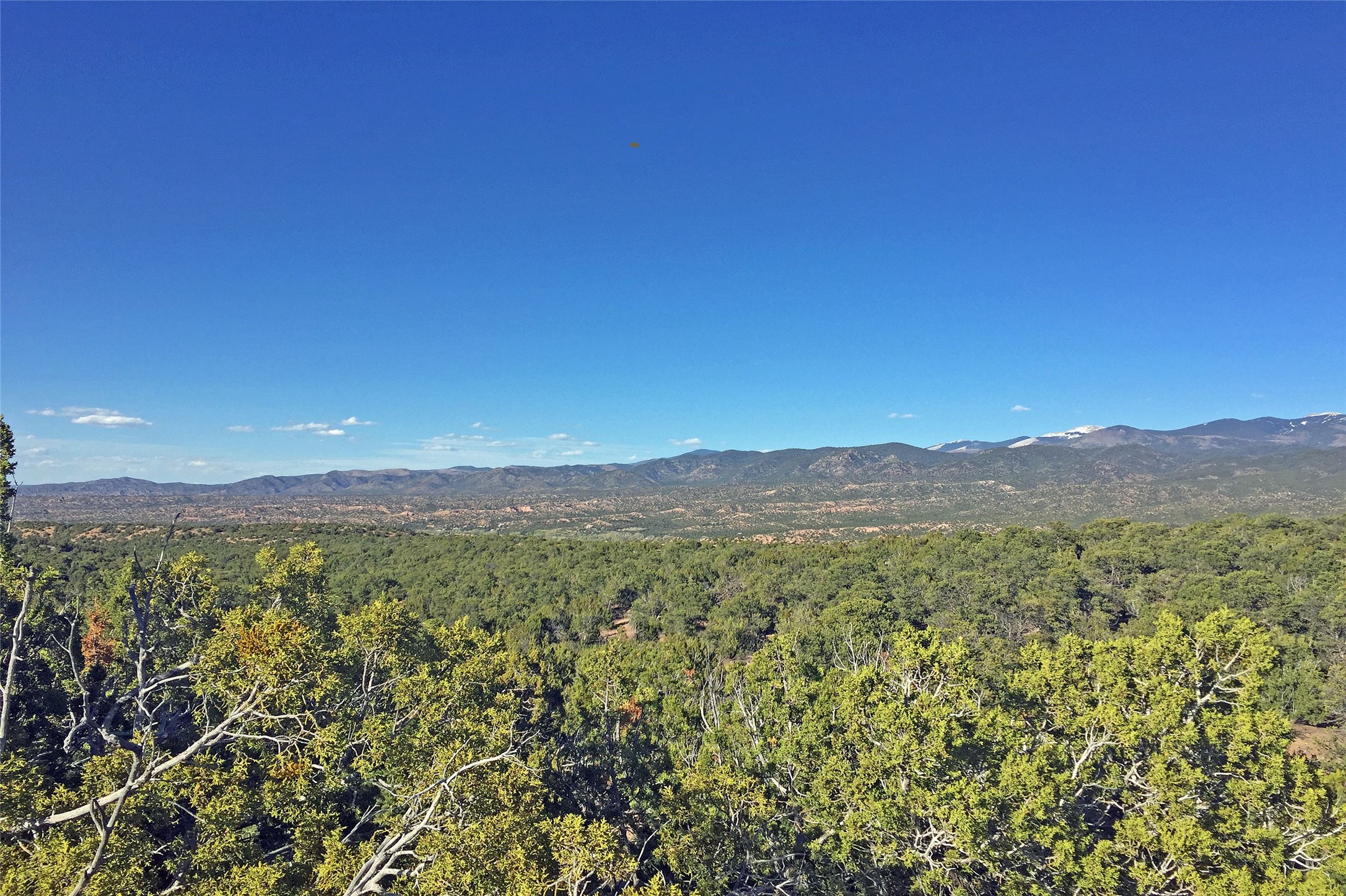 3357 Monte Sereno Drive Lot 78 - 物件實景